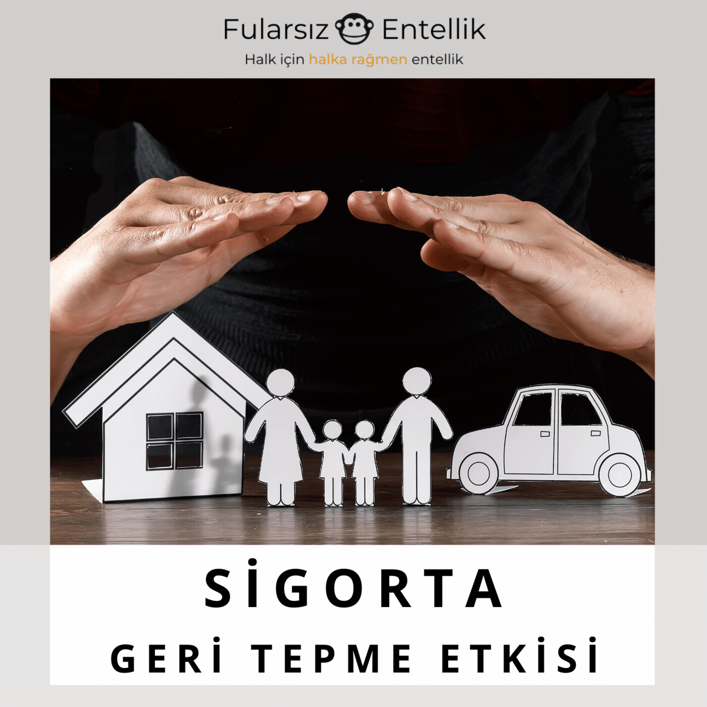 Sigorta ve Geri Tepme Etkisi