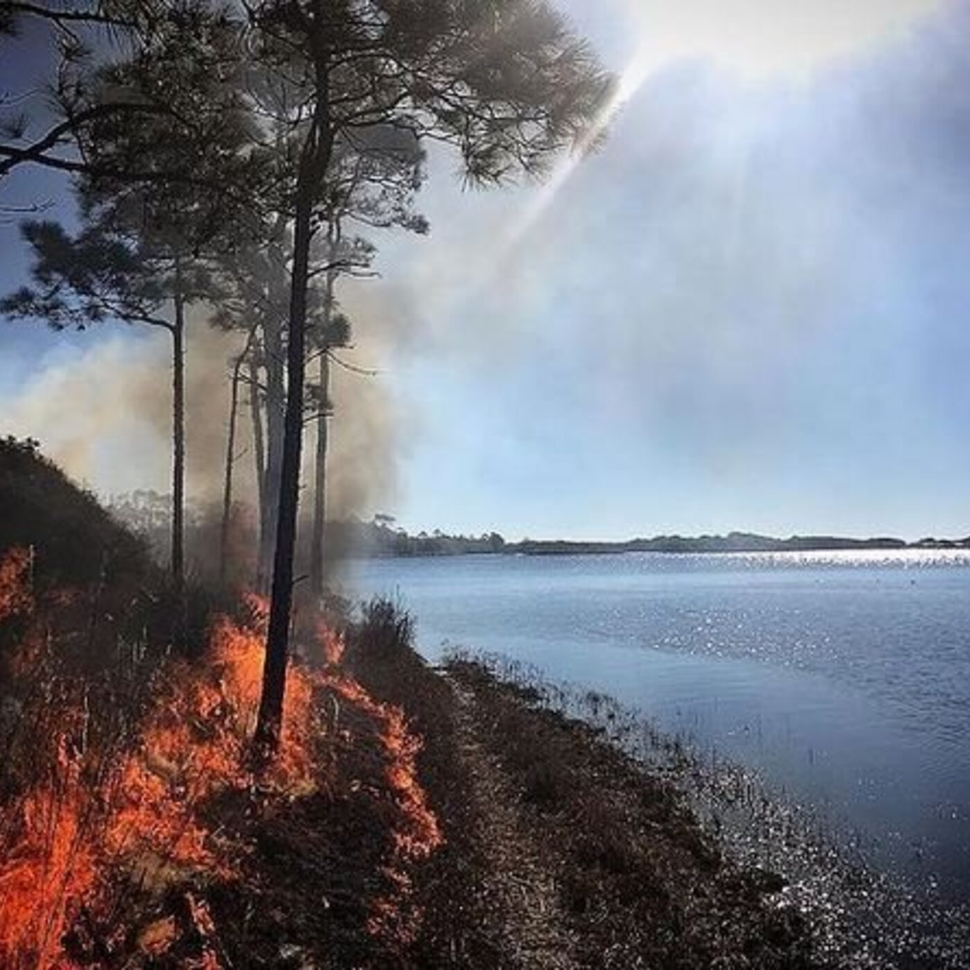 Ep. 414 - Tales from an Accidental Botanist