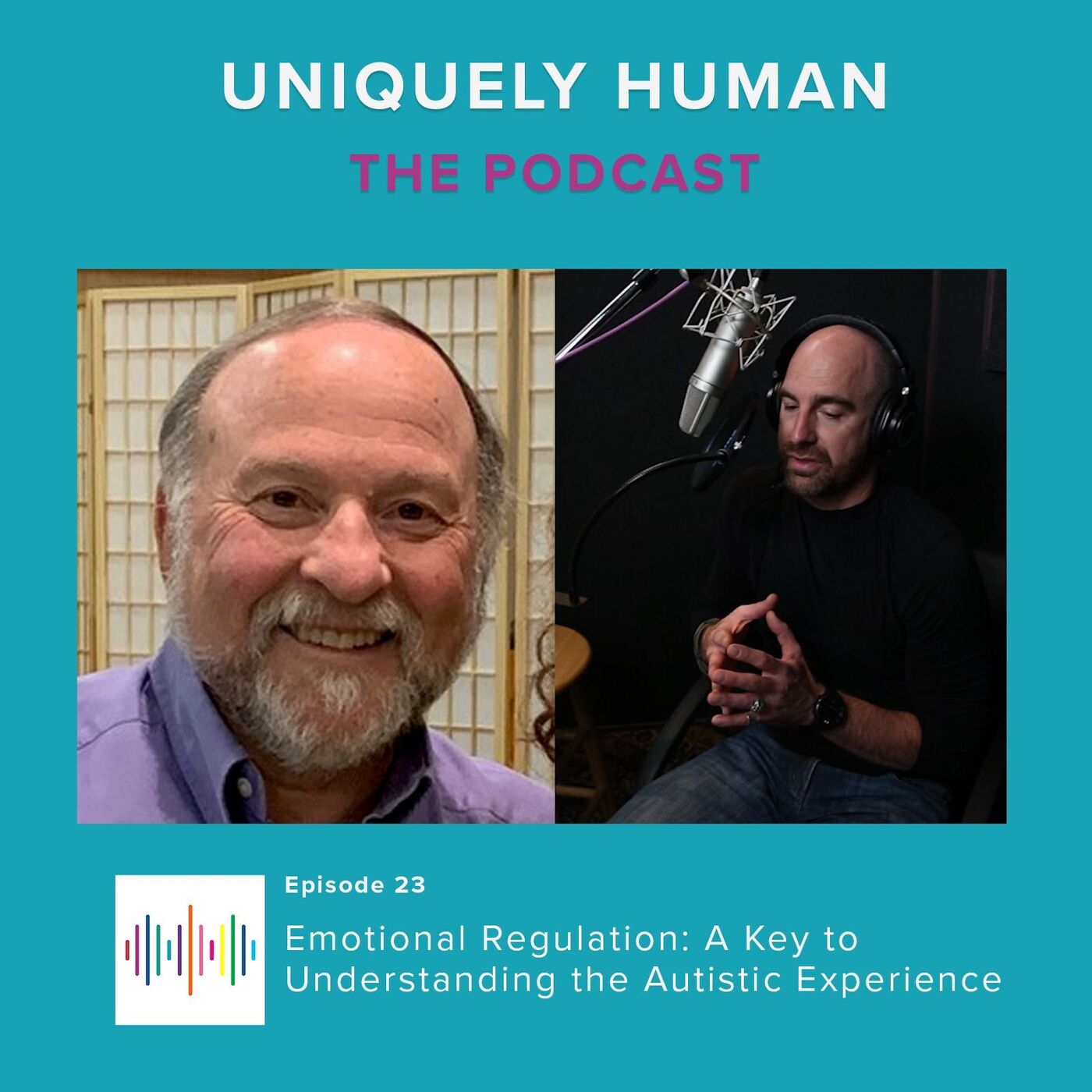 Emotional Regulation: A Key to Understanding the Autistic Experience - podcast episode cover