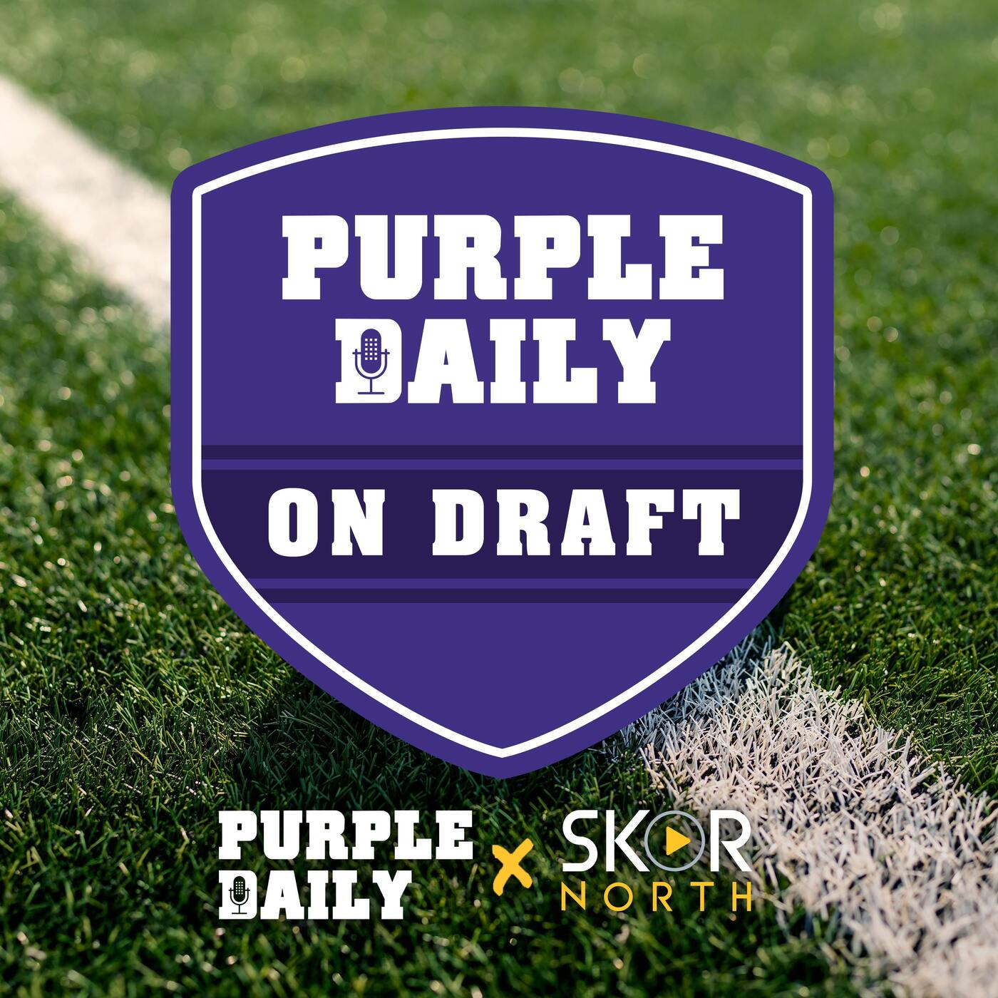 Purple Daily - A Minnesota Vikings Podcast