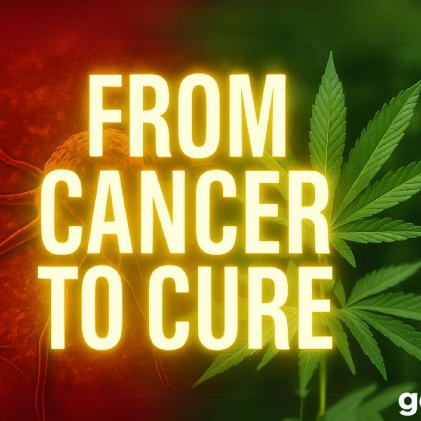 From Cancer to Cure: How Plant Medicine Changed Vince Sanders' Life I goodsugar239 episode artwork