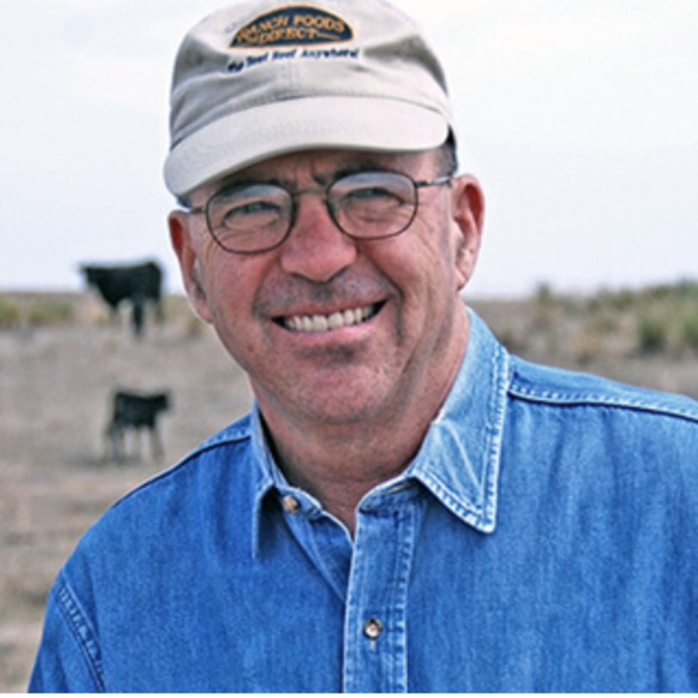 Understanding What Went Wrong With the Cattle Markets