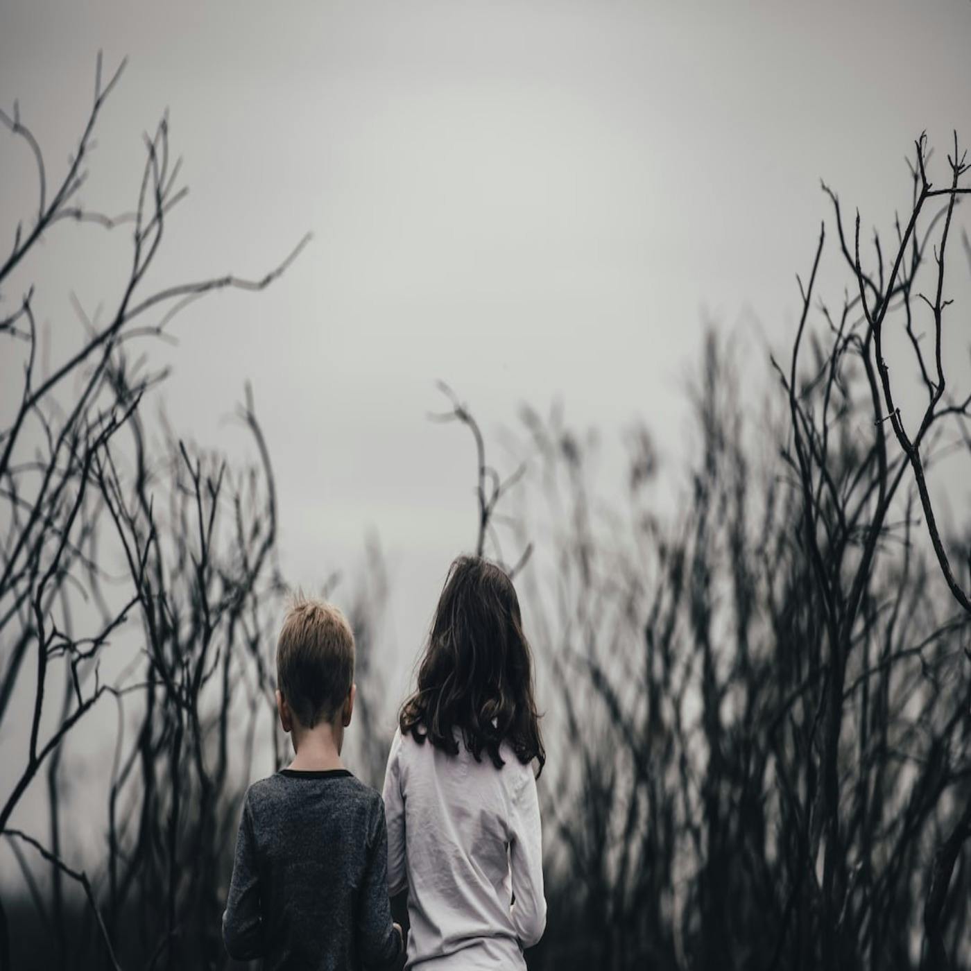 The Importance of Family: Jill on her relationship with her brother, the schism that occurred in her family, and the lessons she has learned | 66