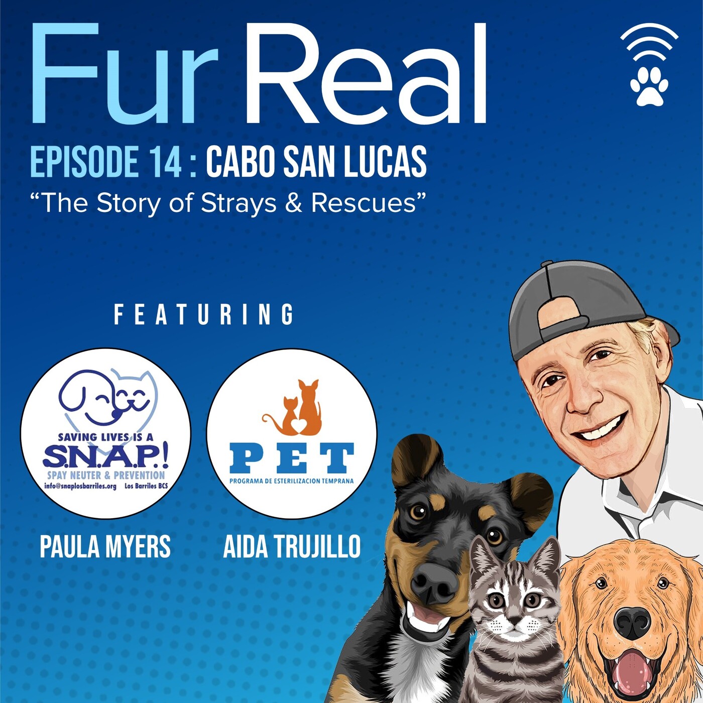 "CABO SAN LUCAS!!" "The Story of Strays and Rescues