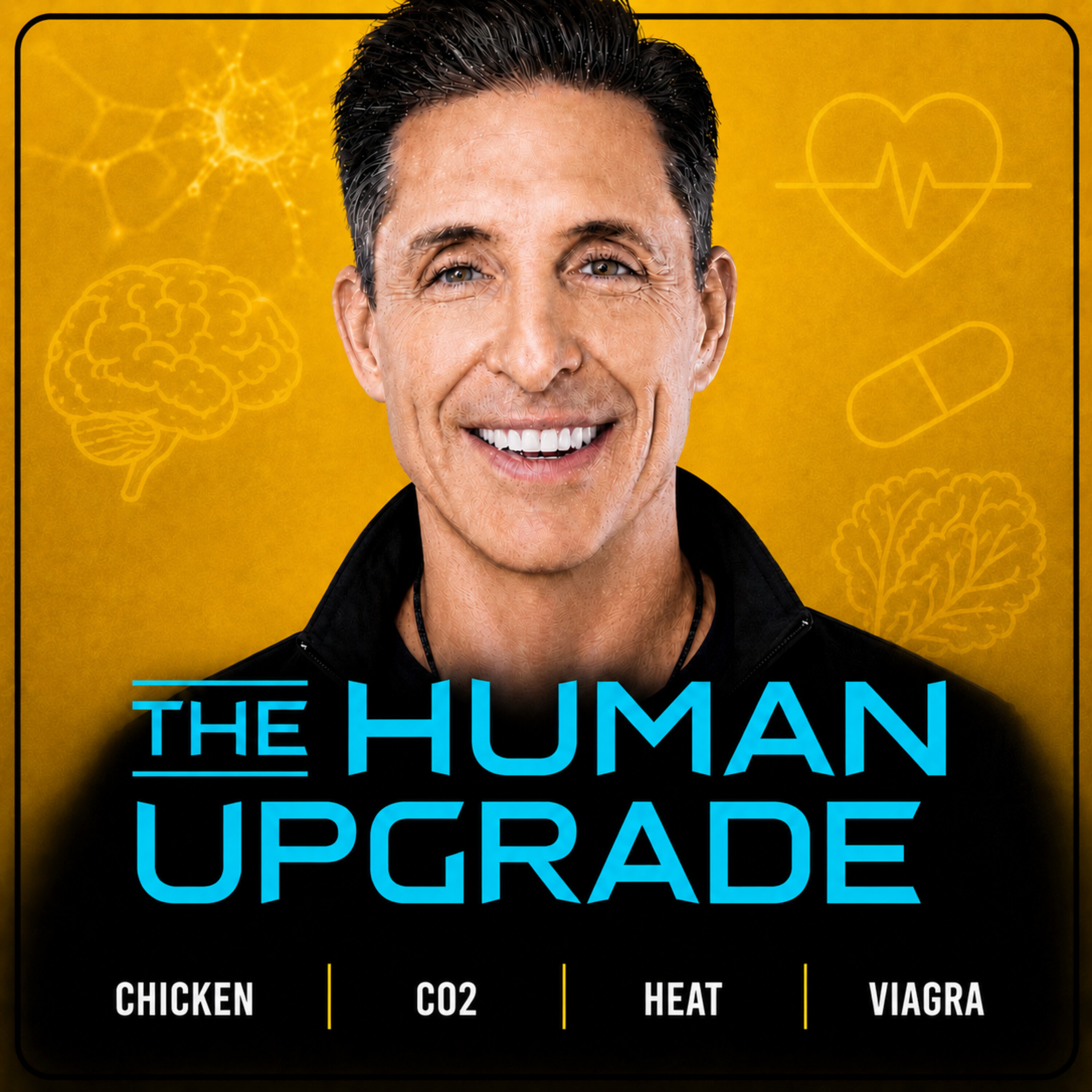 Chicken Diarrhea, TV Kills You Quicker, CO2 for Health, Deadly Hot Neighborhoods, and more...  : 1511