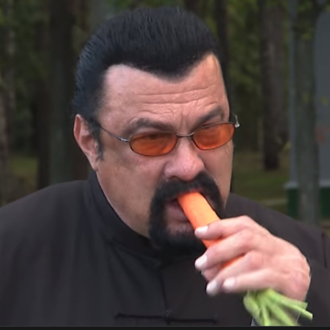 528 - Steven Seagal - part 3 (the carrot)
