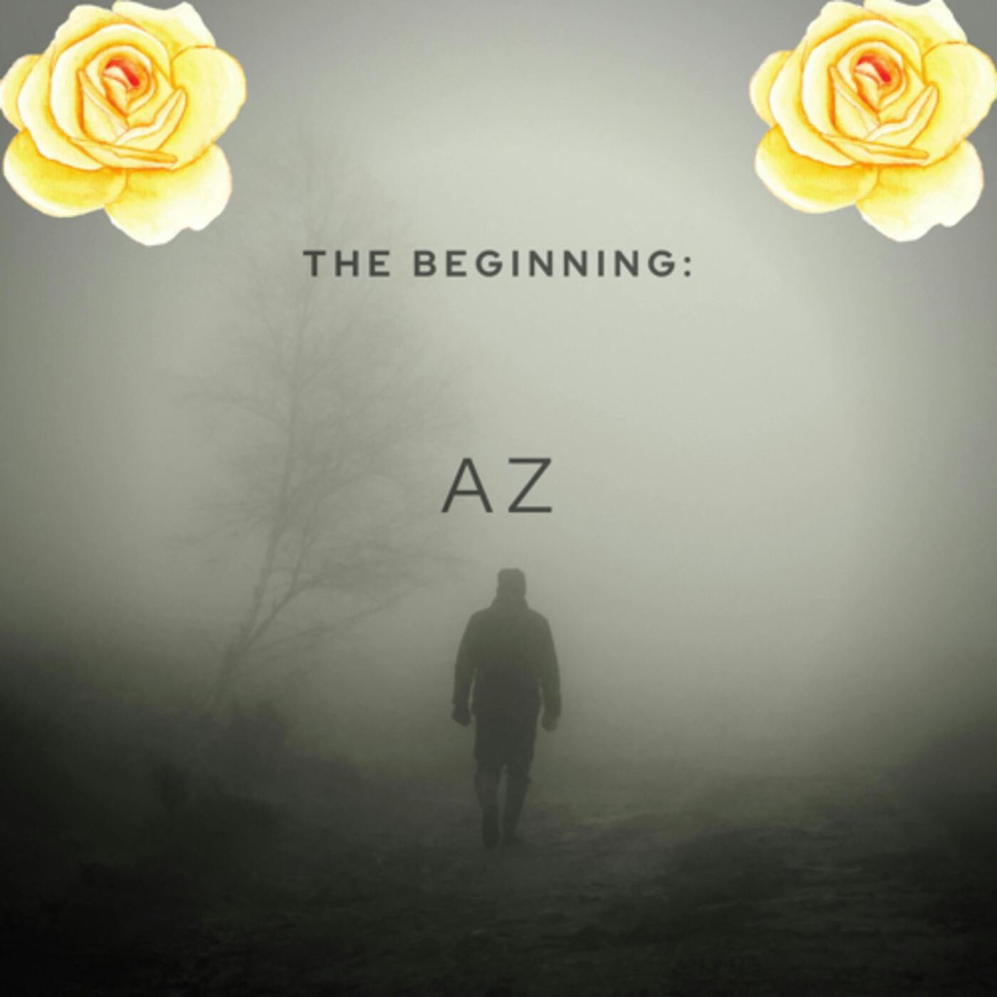 AZ - the beginning