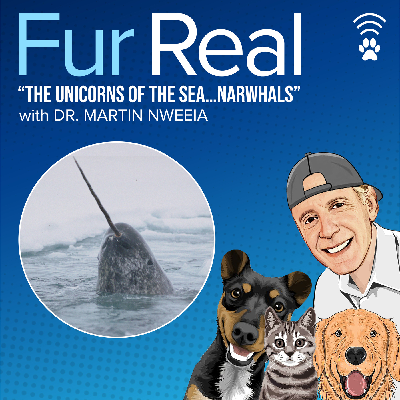 "THE UNICORNS OF THE SEA....NARWAHLS" with Dr, Martin Nweeia