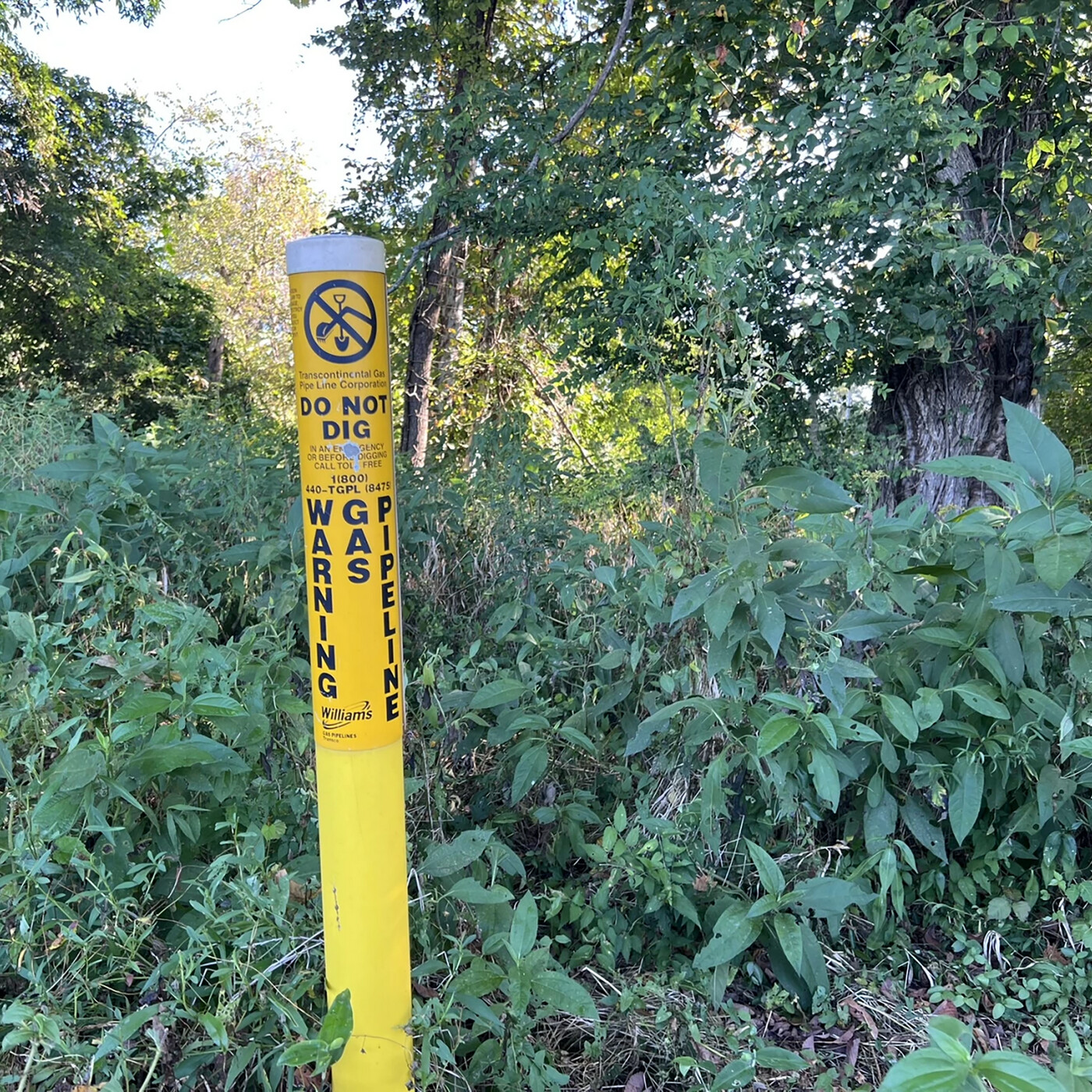 Thumbnail for "Why our energy crisis runs through a gas pipeline".