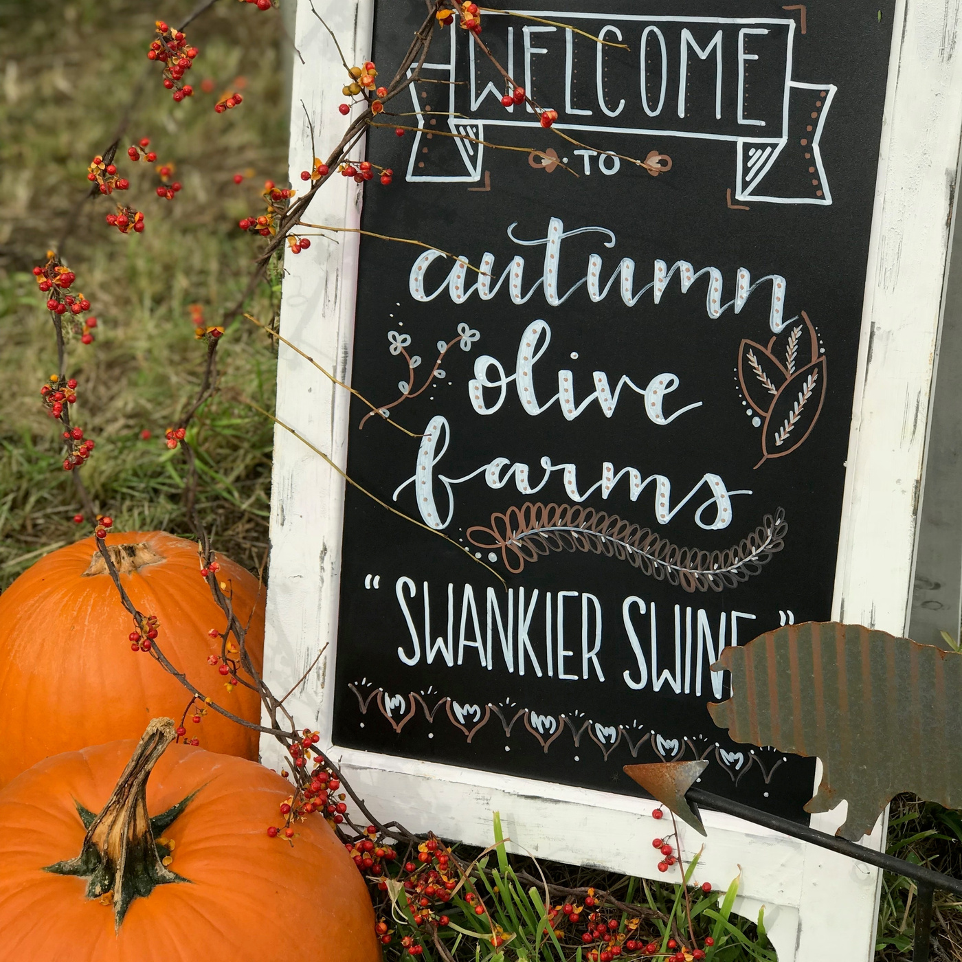 Autumn Olive Farms Tour and Lunch at Fire, Flour & Fork