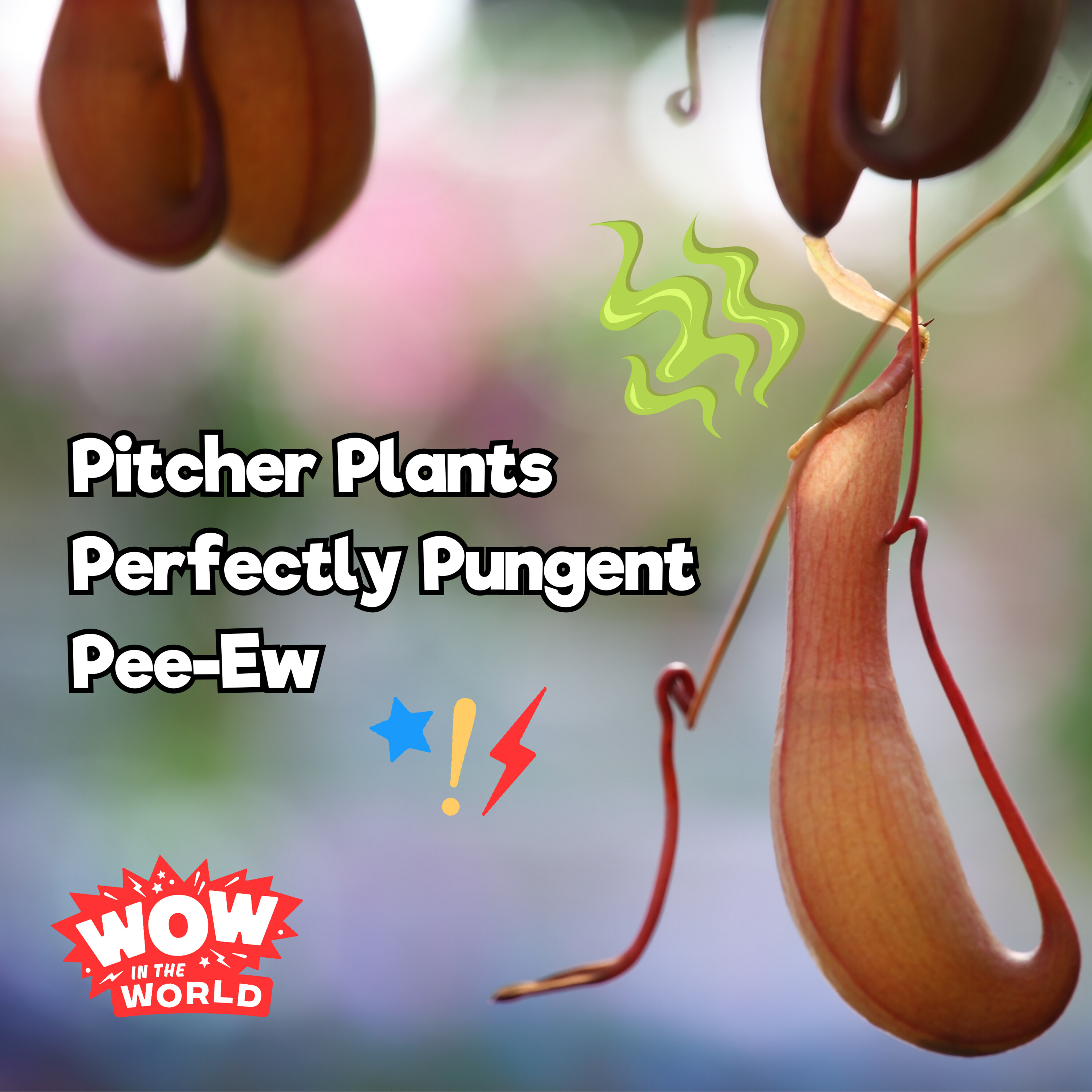 Pitcher Plants Perfectly Pungent Pee-Ew (8/14/23)
