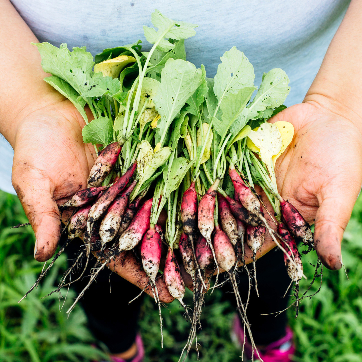 Episode 352: Farm-to-Fast Casual with Dig Inn