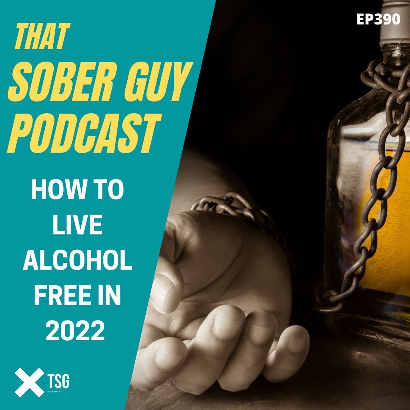 That Sober Guy Podcast