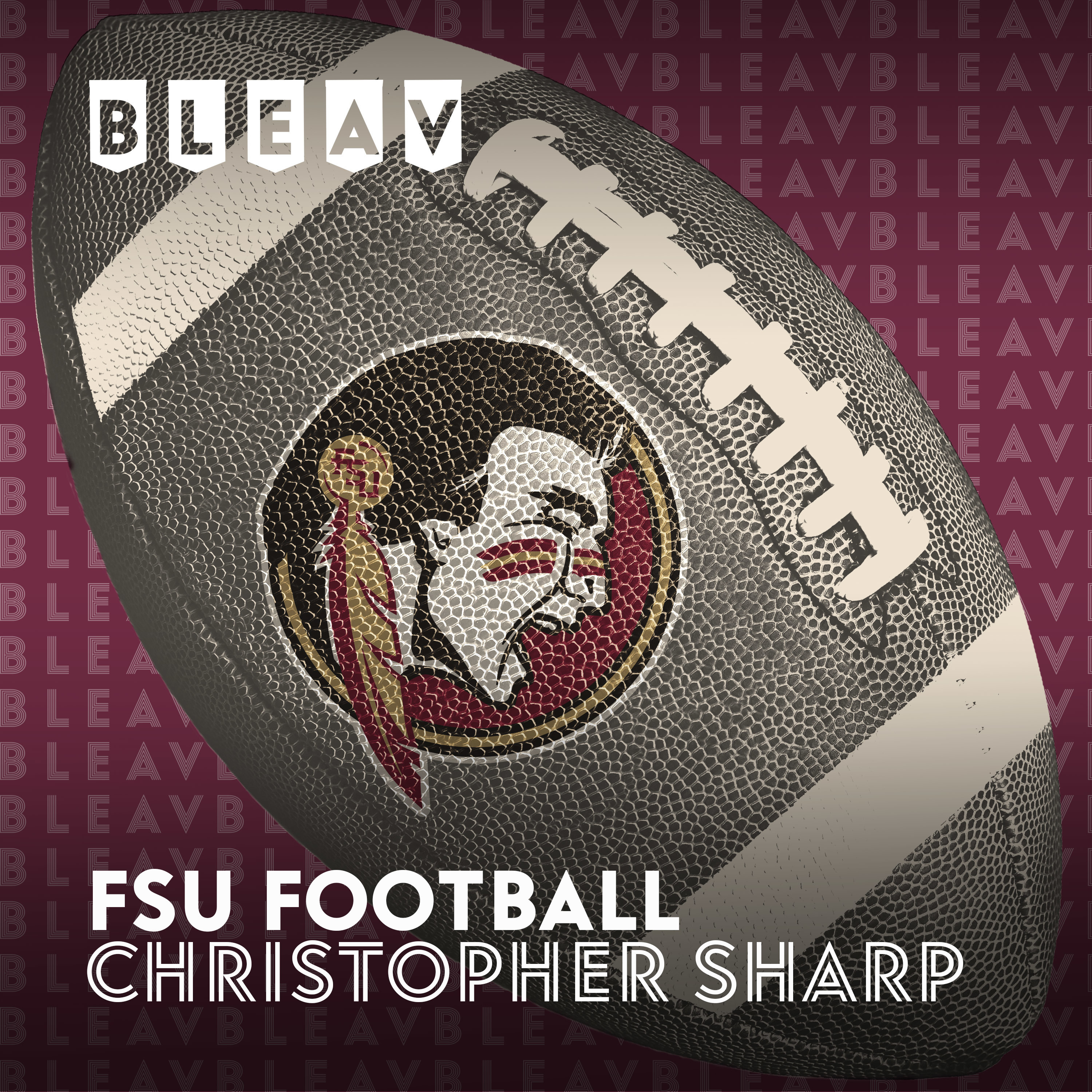 Bleav in FSU Basketball