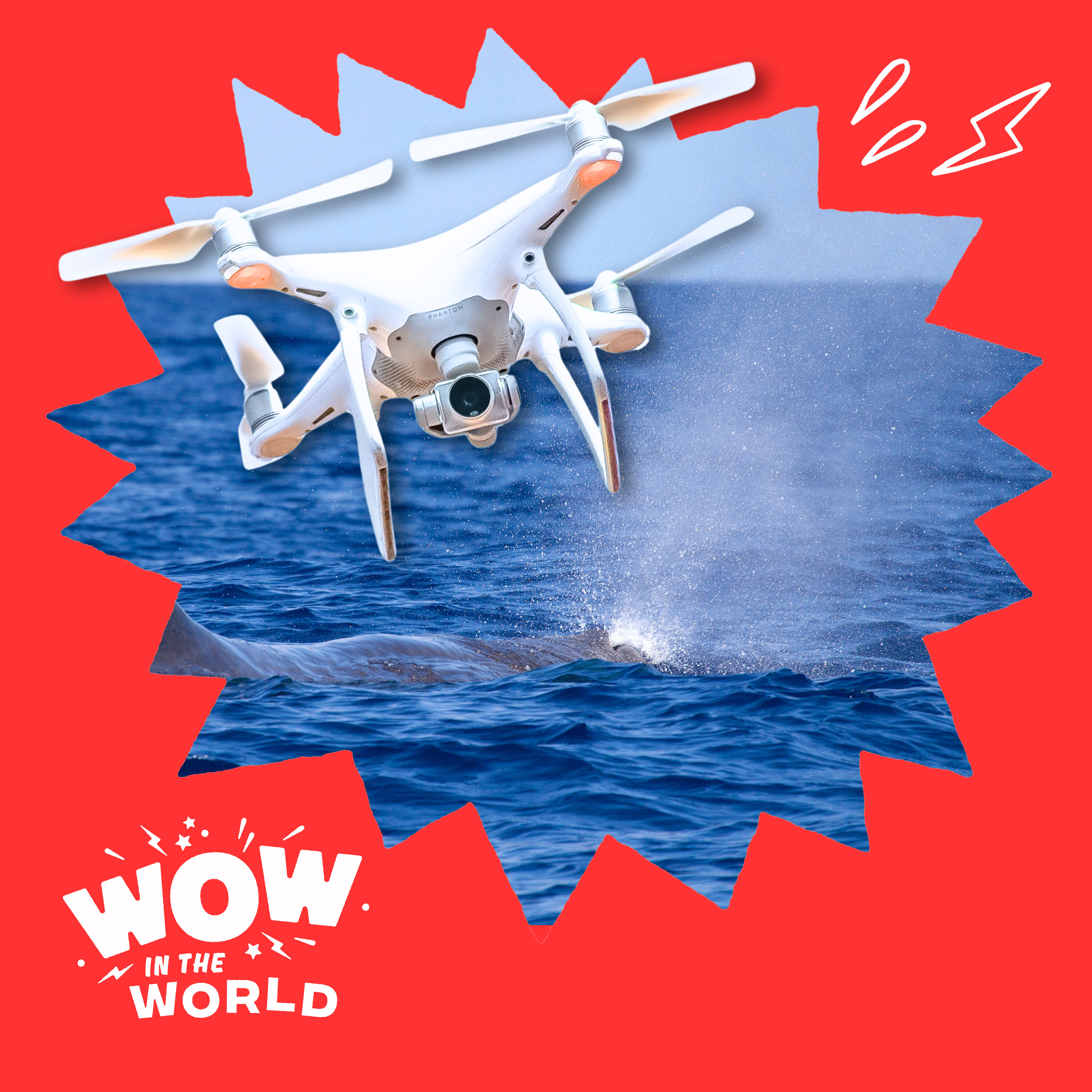 SnotBot! The Real Whale Snot Drone & How Scientists Study Whales