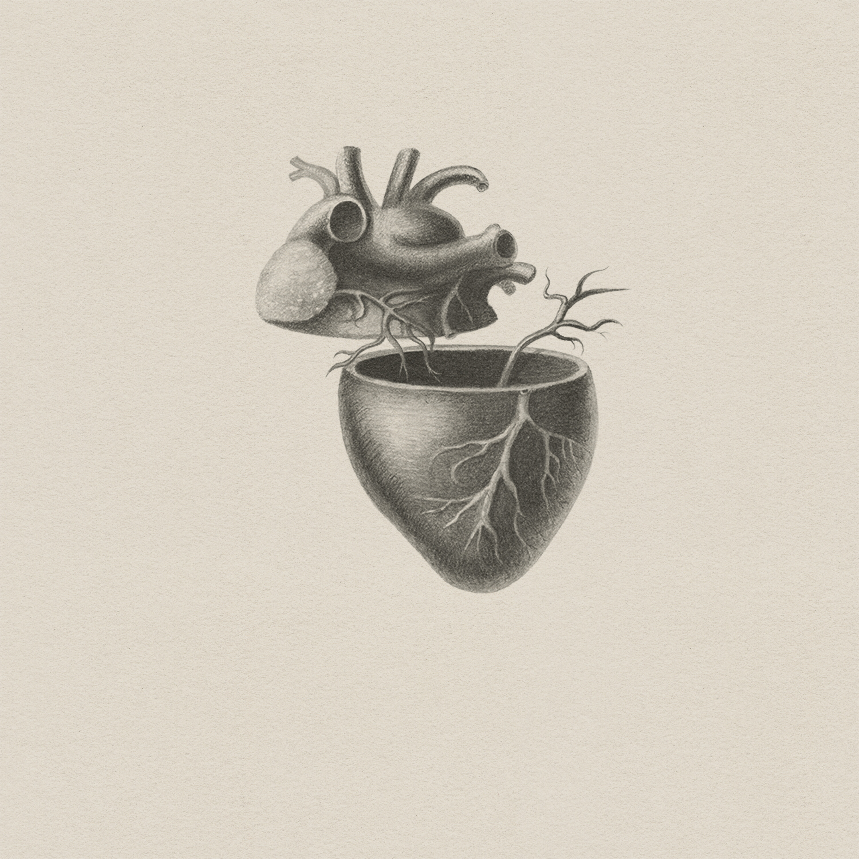 Amazing Grace | 4