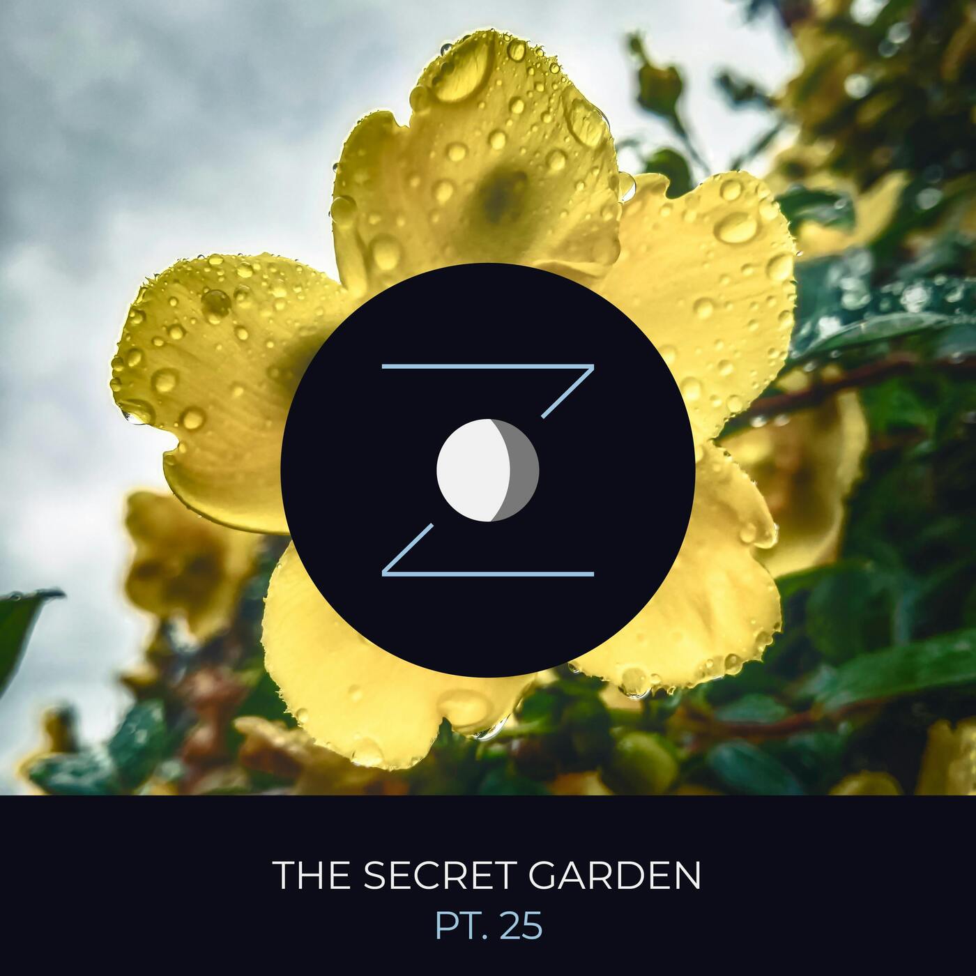 The Secret Garden pt. 25 episode artwork