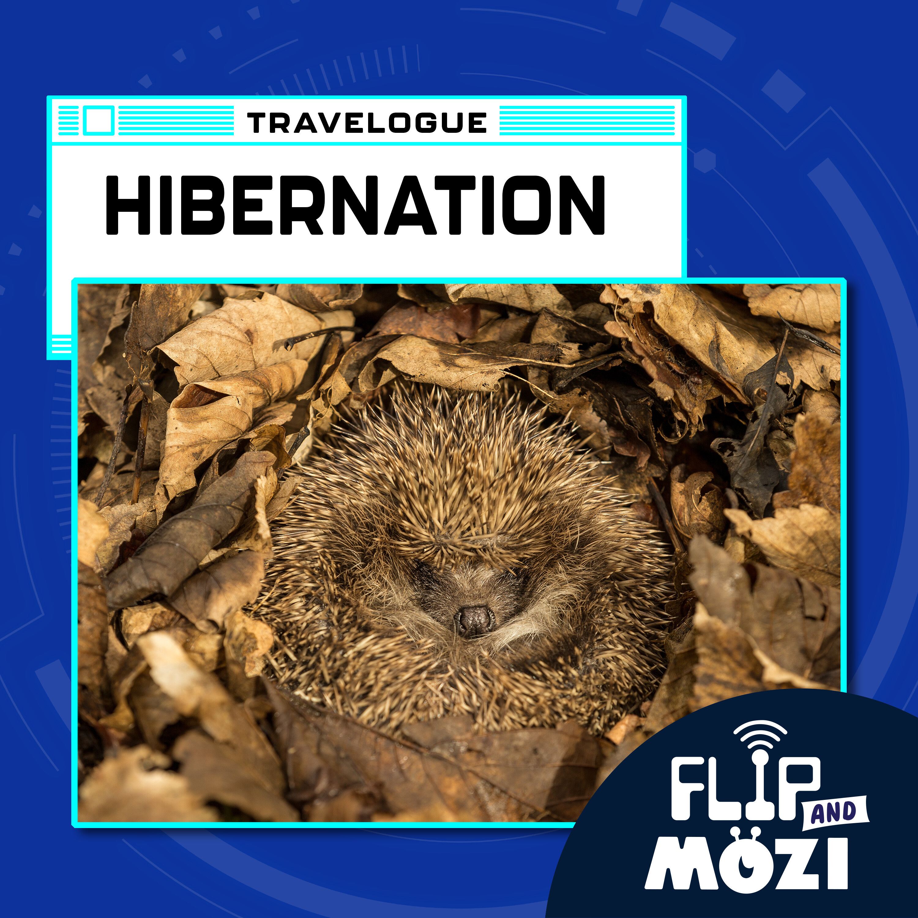 Travelpod: Hibernation episode artwork