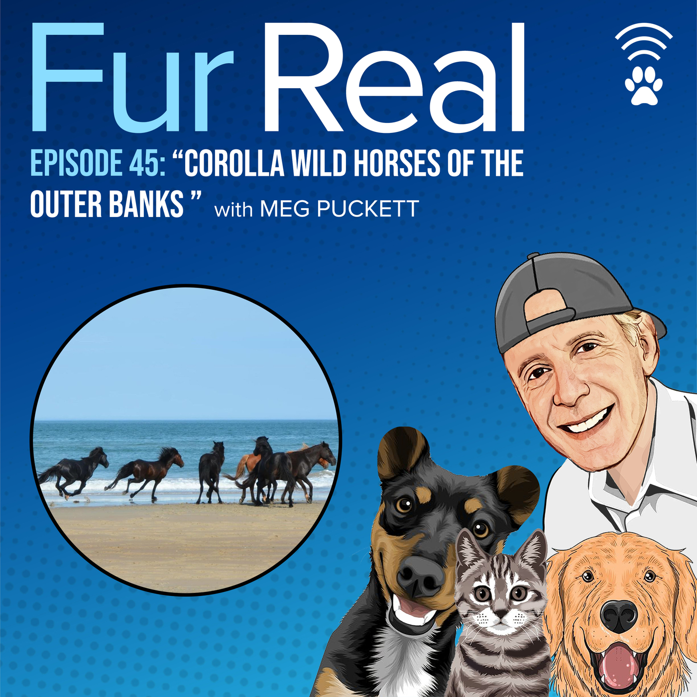 "COROLLA WILD HORSES OF THE OUTER BANKS" with Meg Puckett