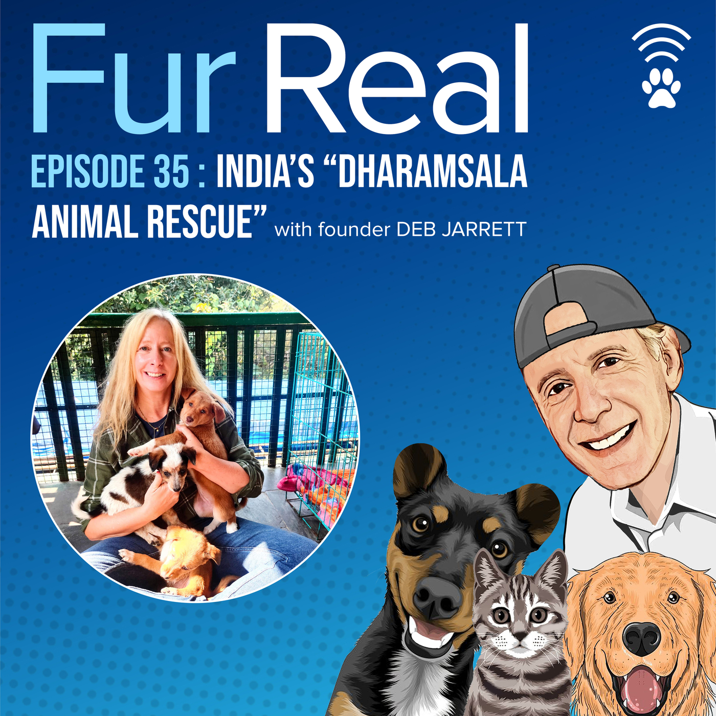 "INDIA'S DHARAMSALA ANIMAL RESCUE" with founder Deb Jarrett