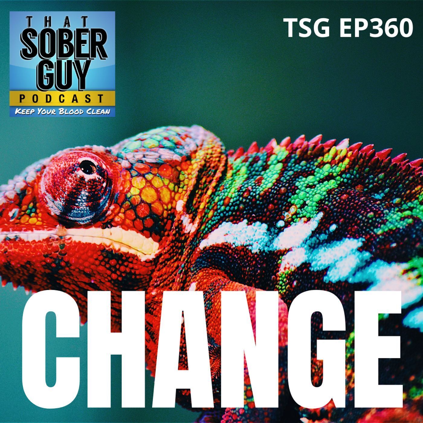 That Sober Guy Podcast