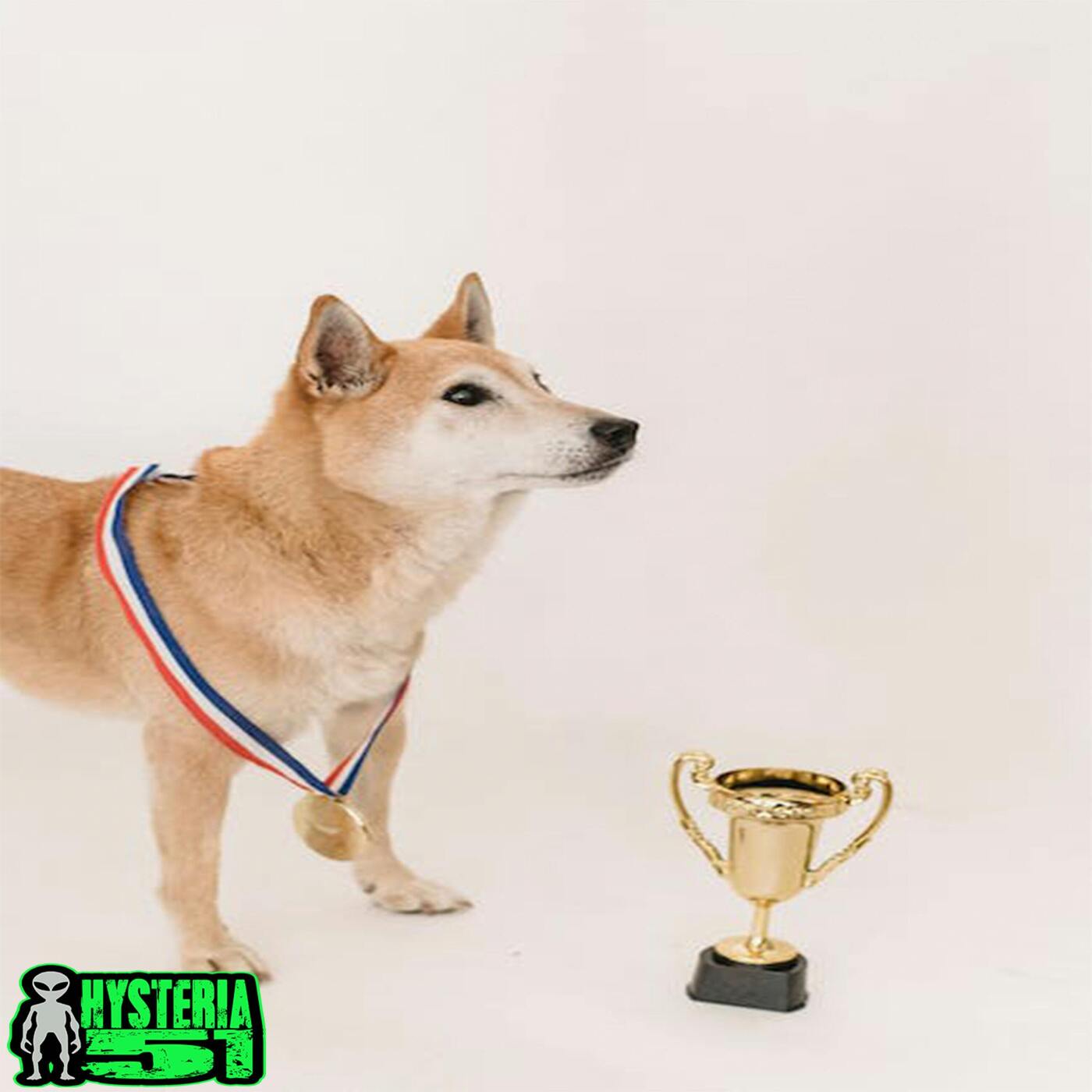 CONTEST TIME | BONUS