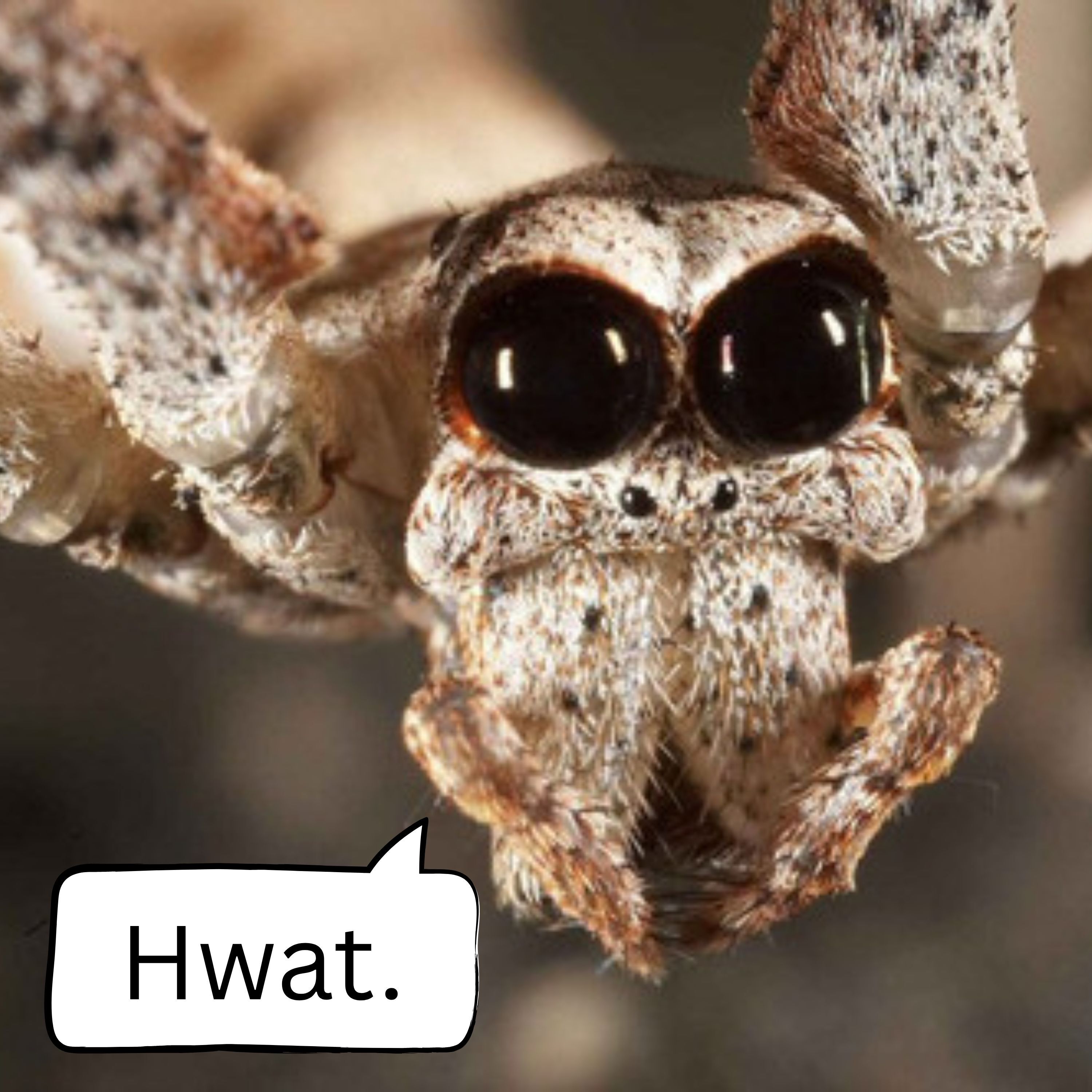 58: Not Horse Eating Size