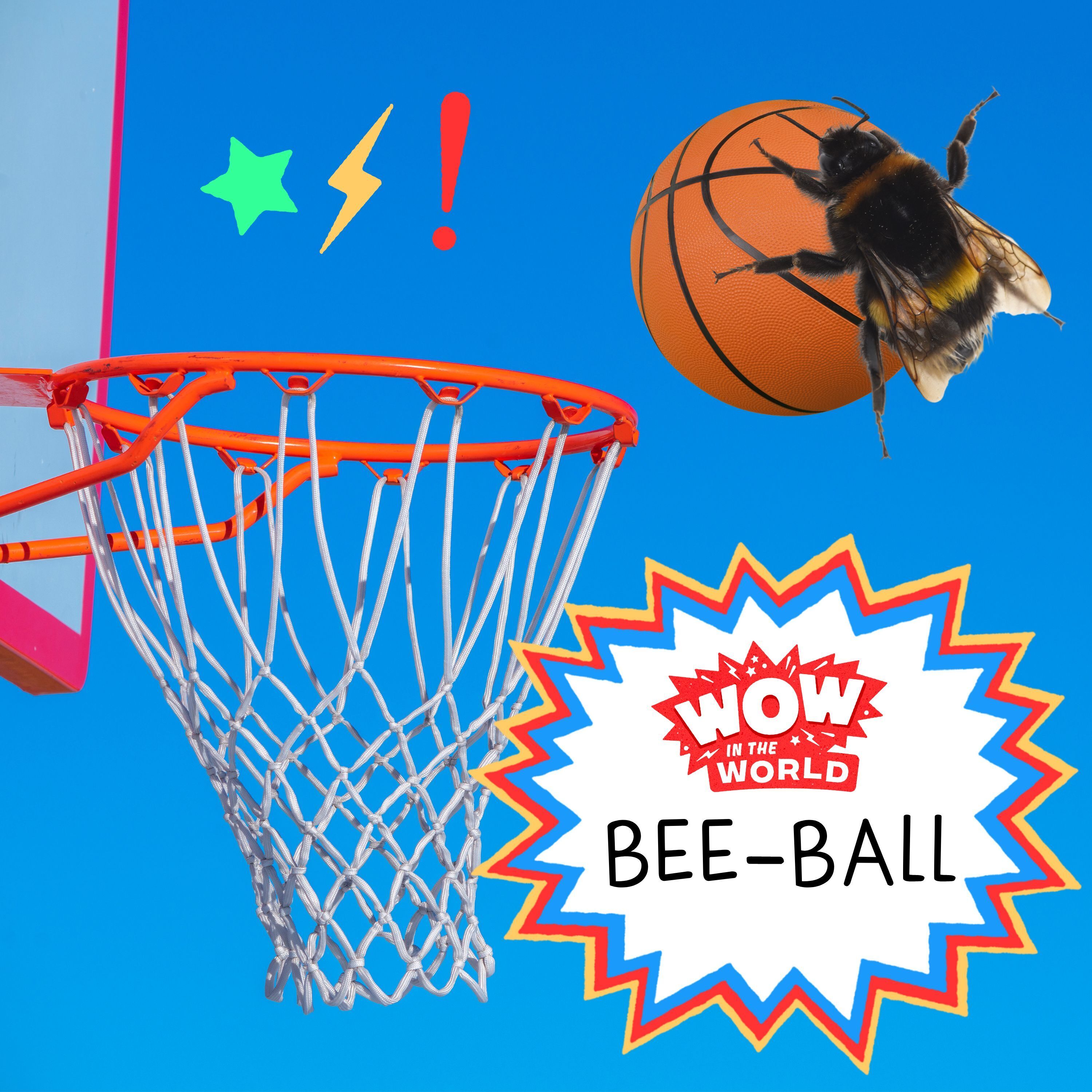 Bee-Ball: A Buzzer-Beating Investigation Into Why Insects Play episode artwork