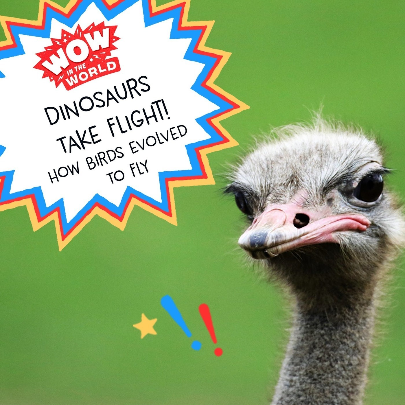 Dinosaurs Take Flight! How Birds Evolved To Fly