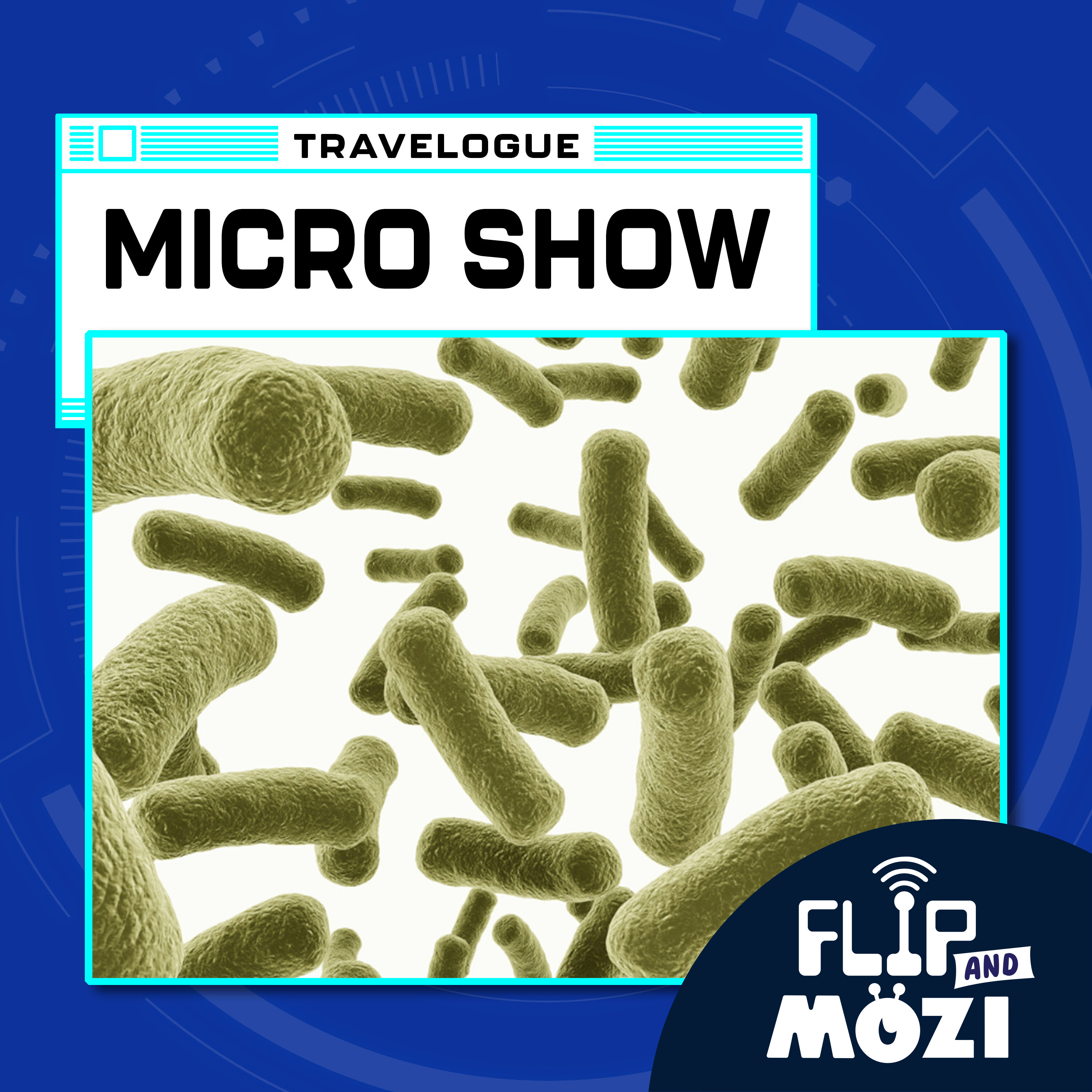 Travelpod: Micro Show