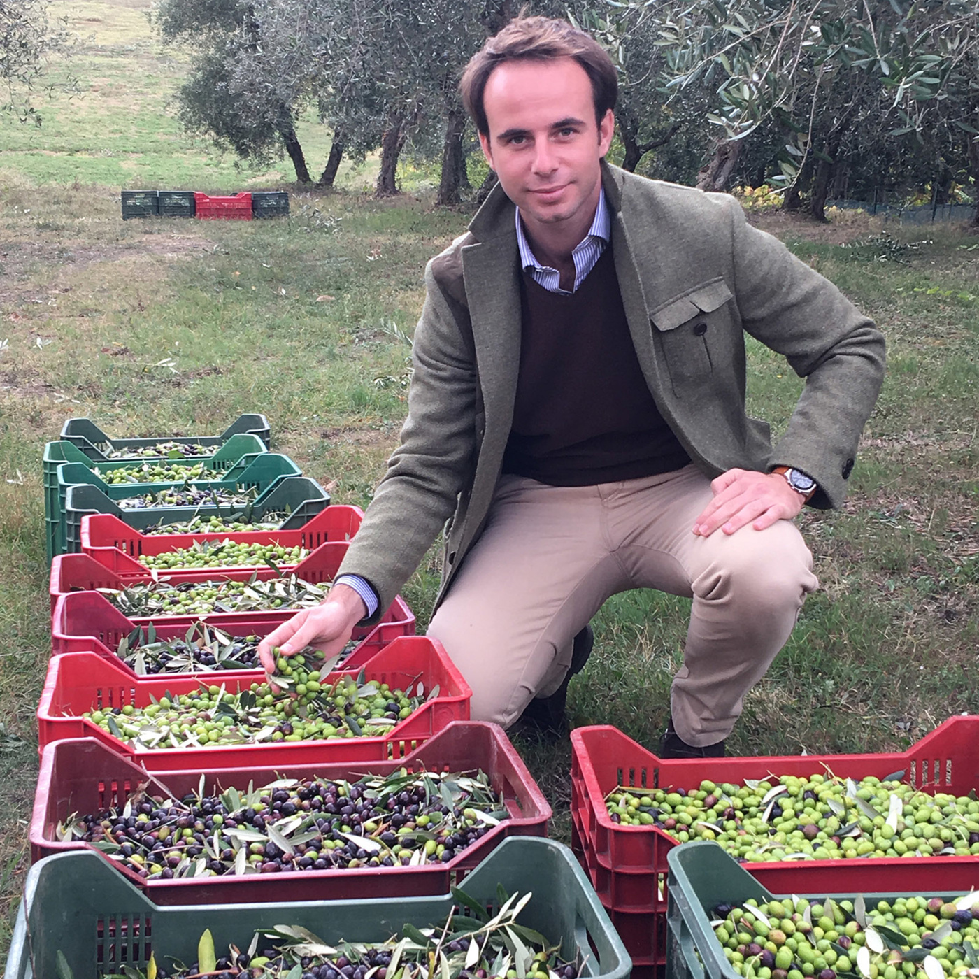 Episode 320: 30 generations of Olive Oil - Frescobaldi