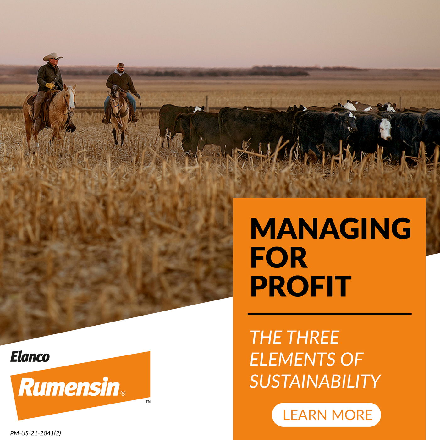 MFP: The three elements of sustainability