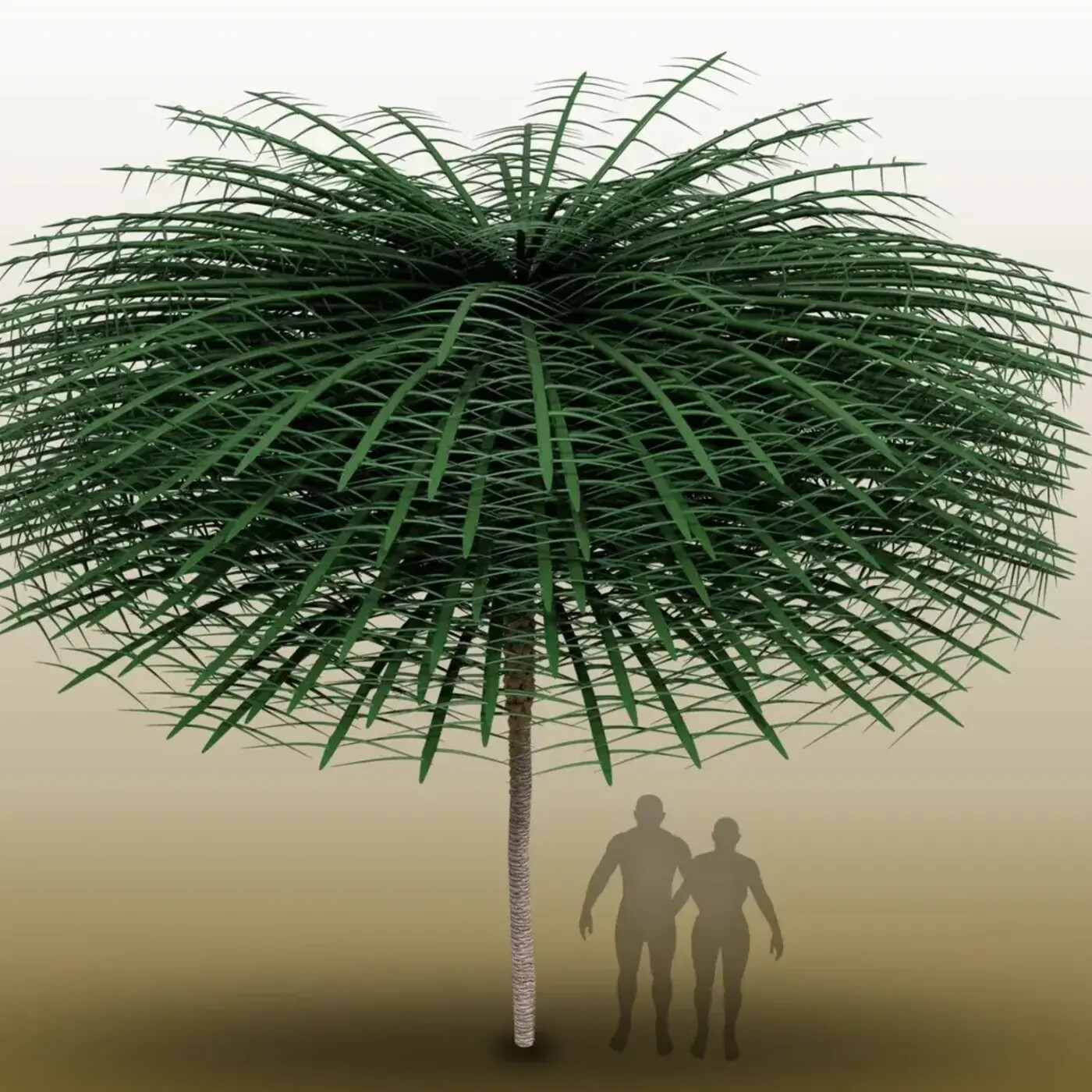 In Defense of Plants Podcast