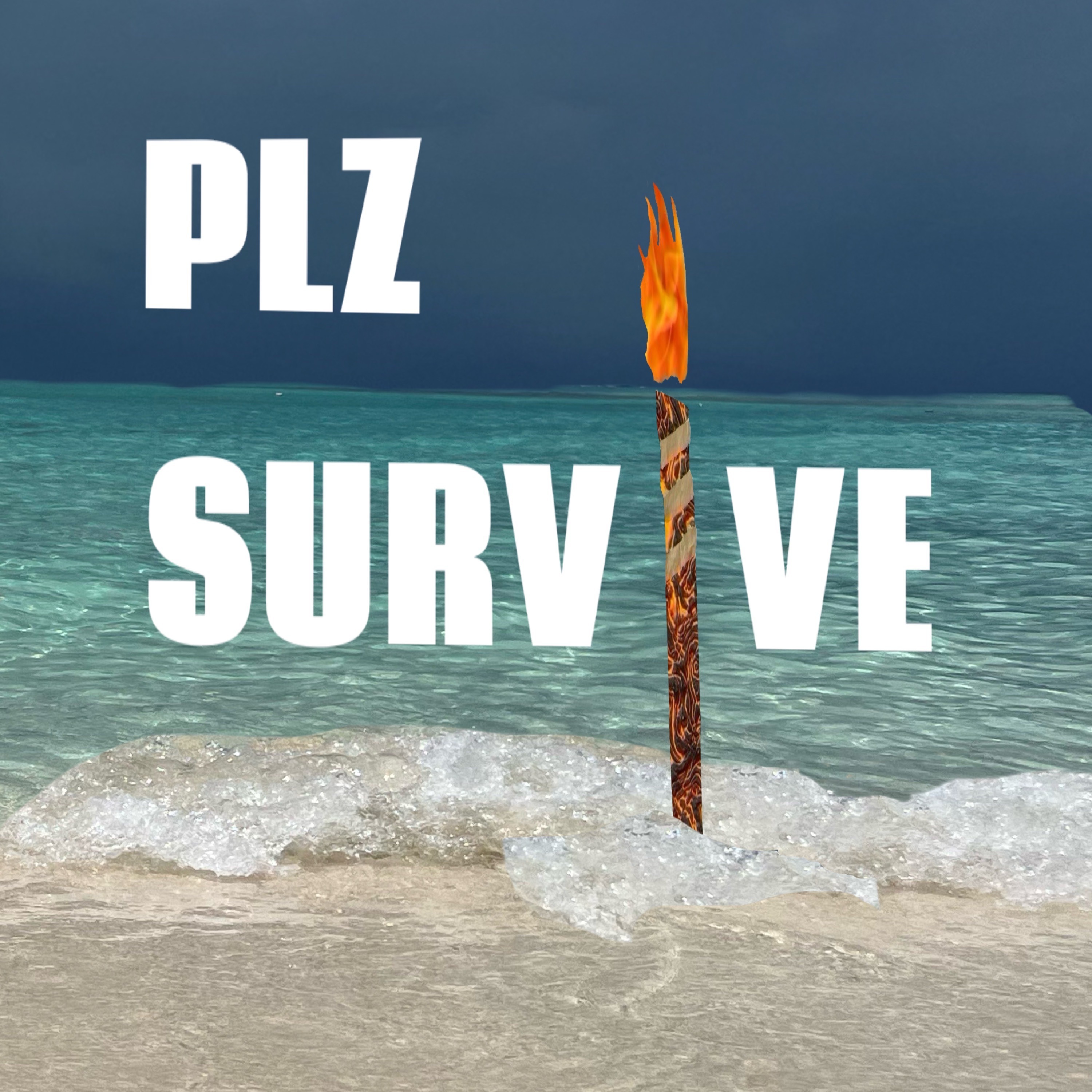 Plz Survive cover art