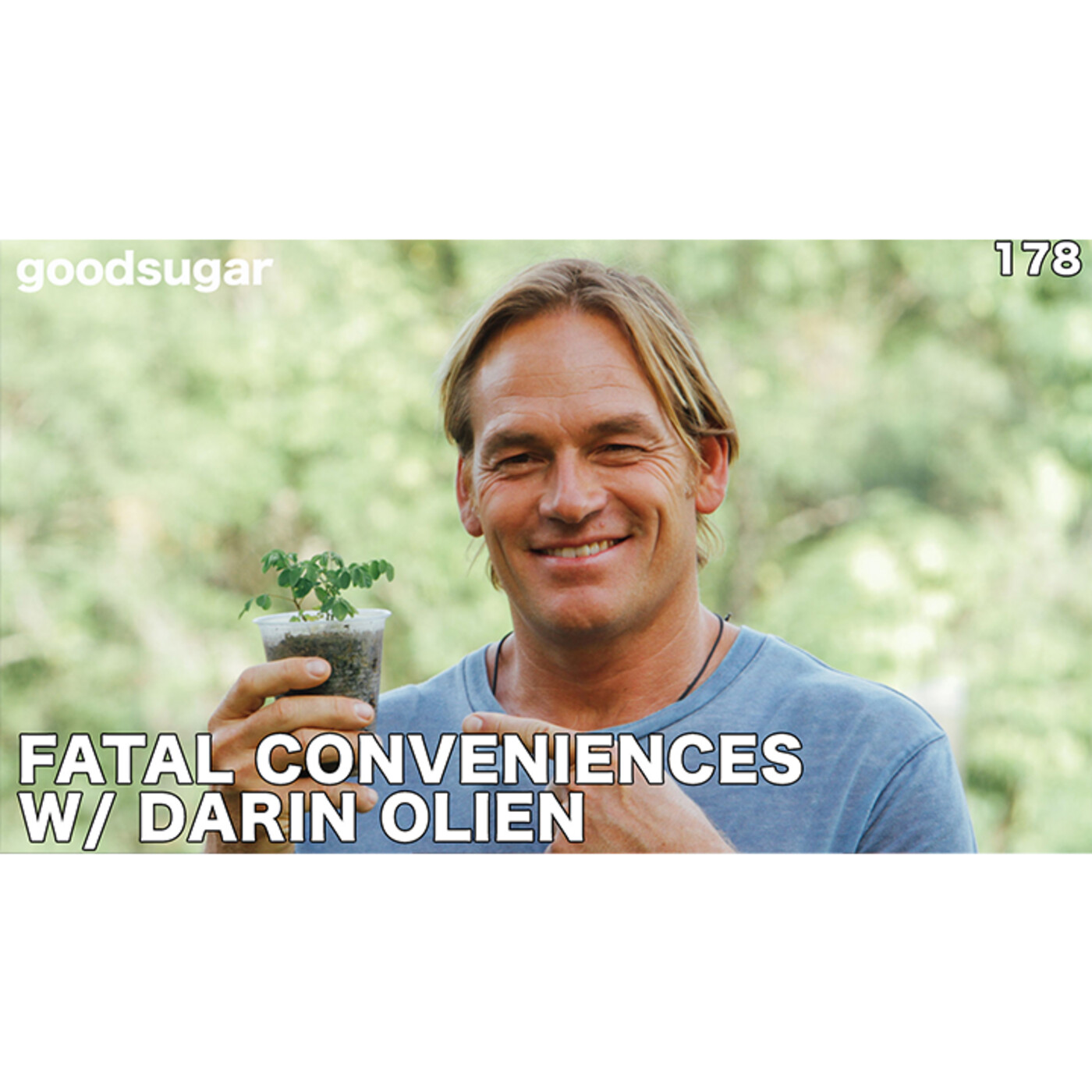 Darren Olien Author of Fatal Convenience | goodsugar 178 episode artwork