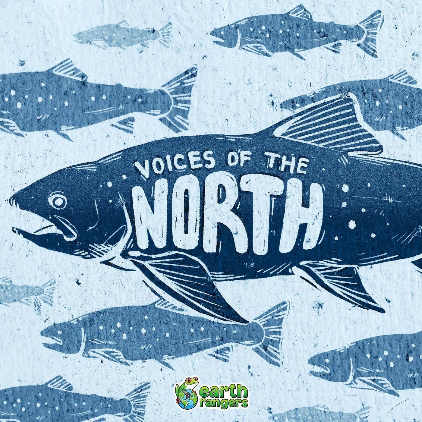 S10 E1: Voices of the North: The Geese, The Wolf and The Truth