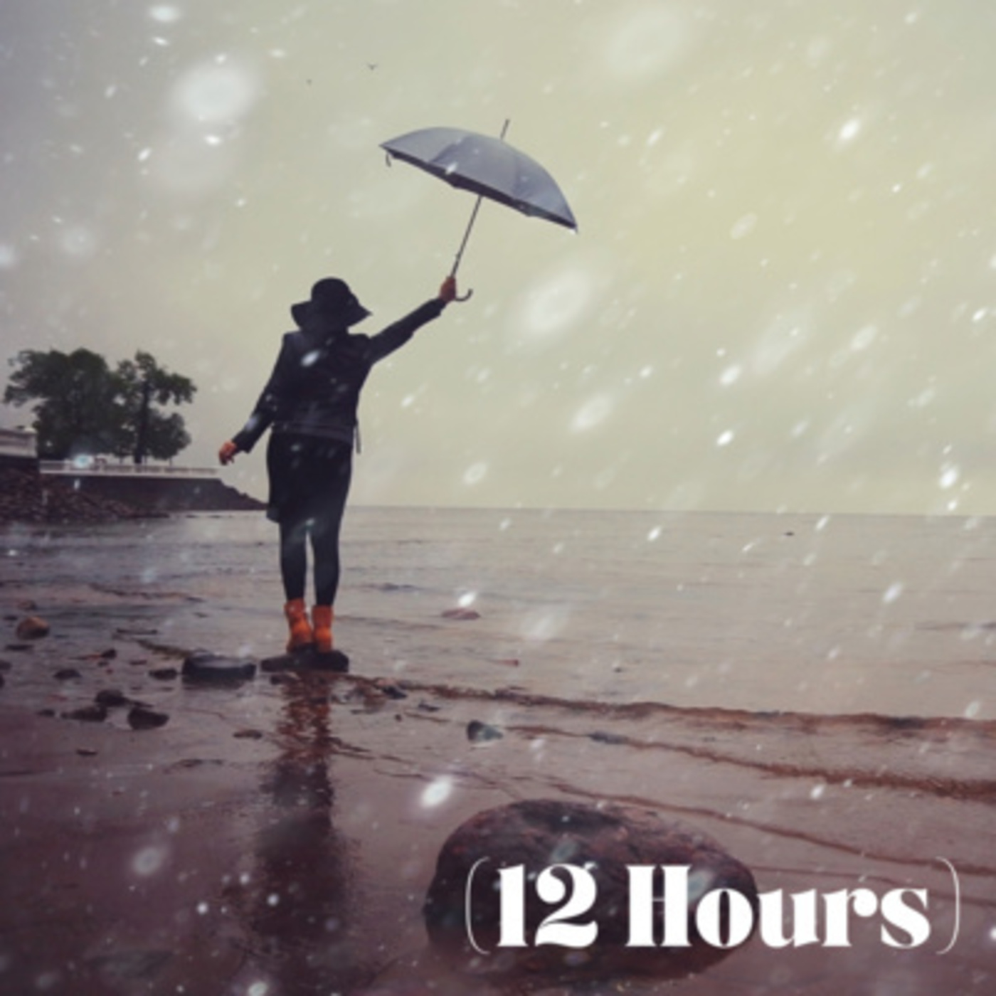 Rain & Steady Gusts of Wind | Sleep Sound (12 Hours)