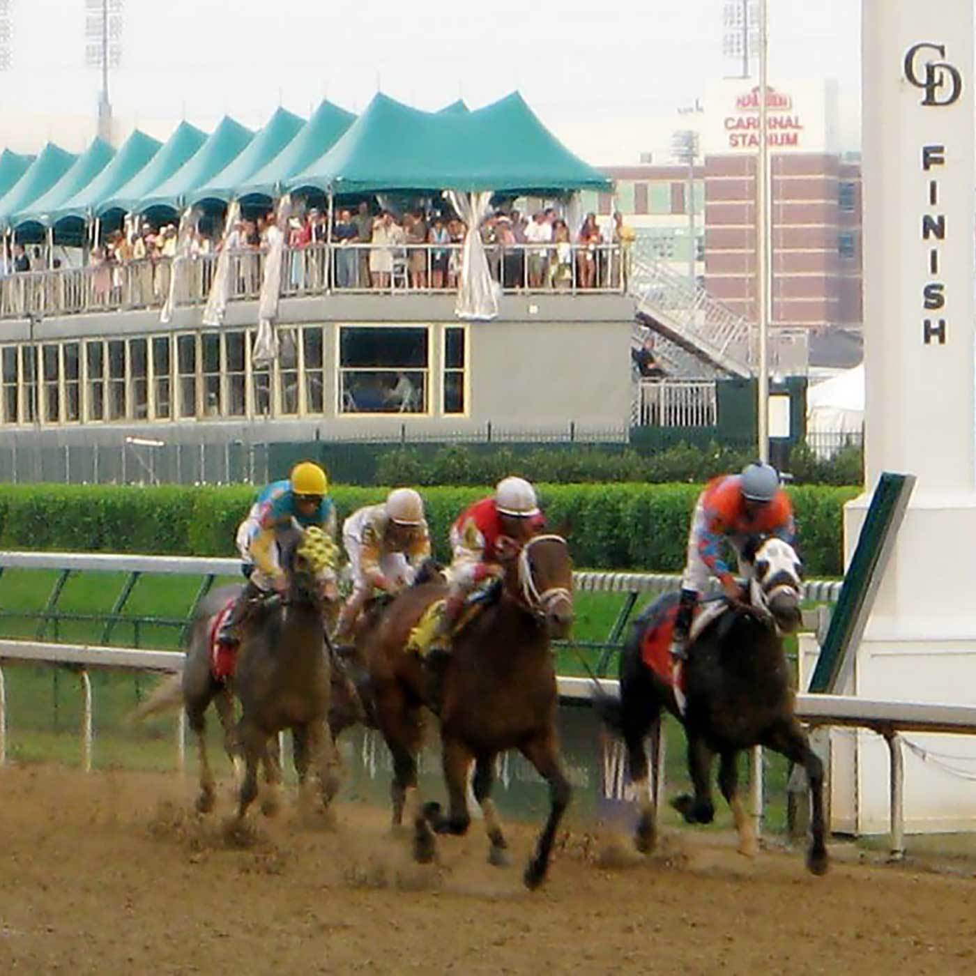 The Science of Thoroughbred Racing