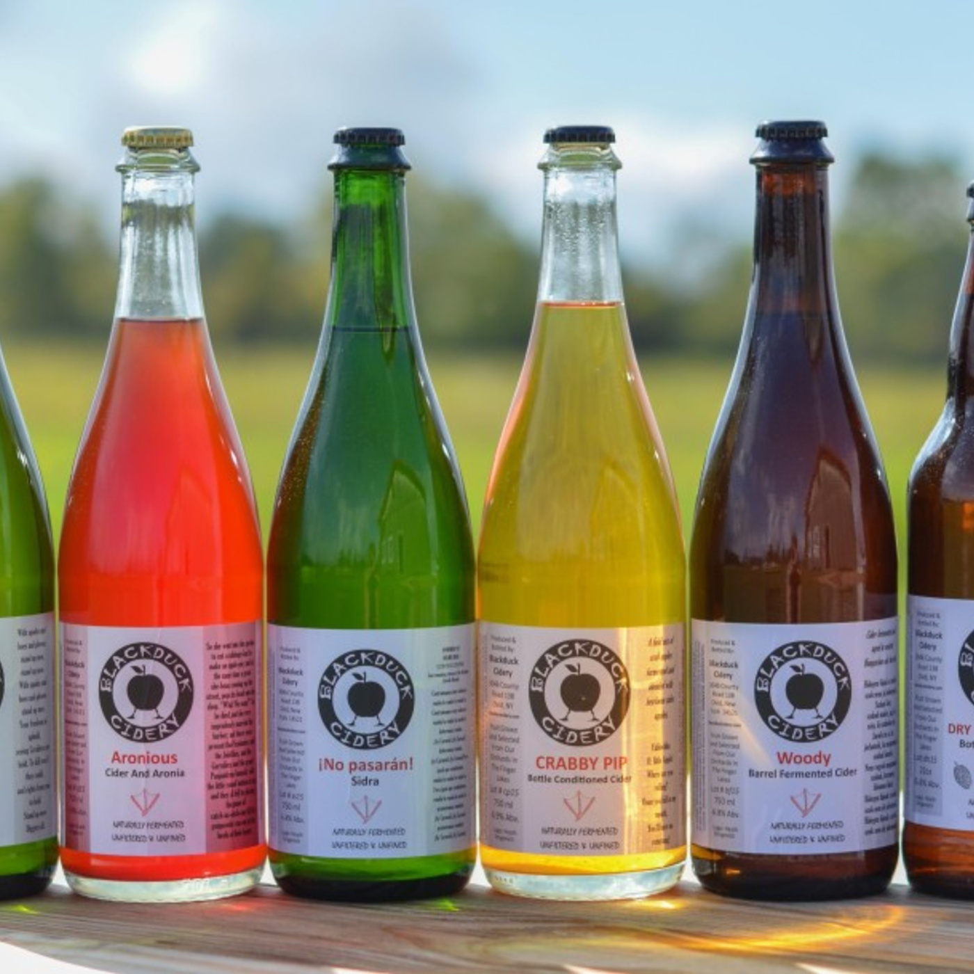 Episode 4: Back to the Roots episode artwork