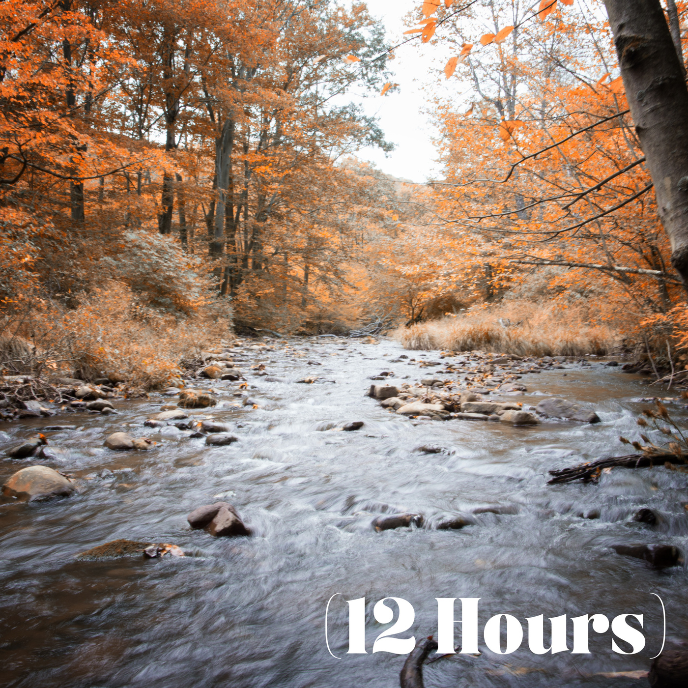 Babbling Brook Softly Streaming | Sleep Sound (12 Hours)