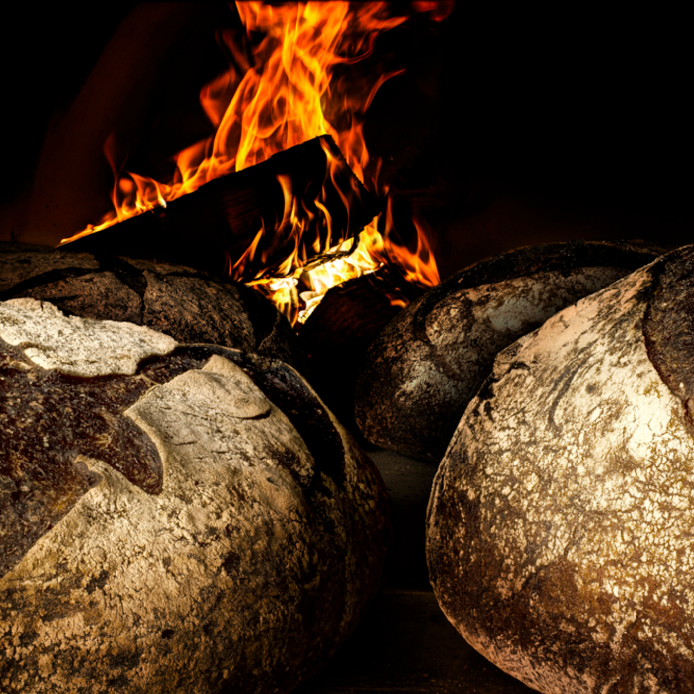 Episode 1: Pre-ferment