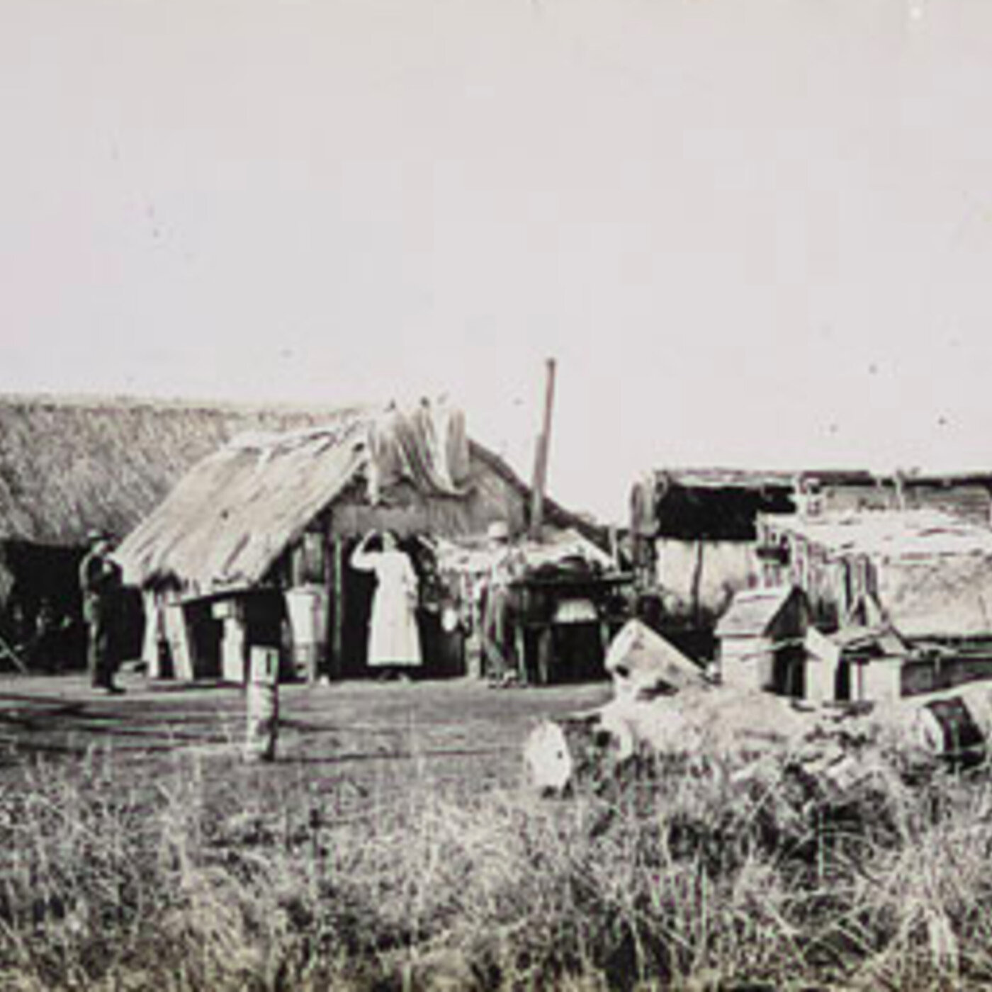 79 - New Australia  - Live w/Celia Pacquola and Tommy Dassalo