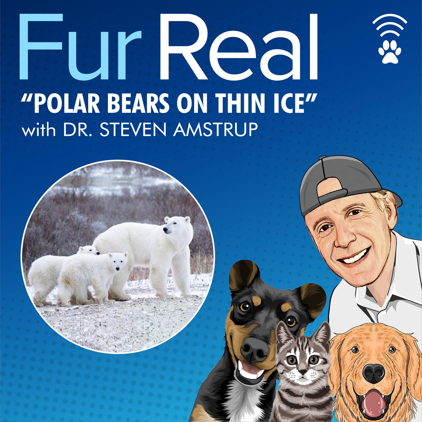 "POLAR BEARS ON THIN ICE" with Dr. Steven Amstrup