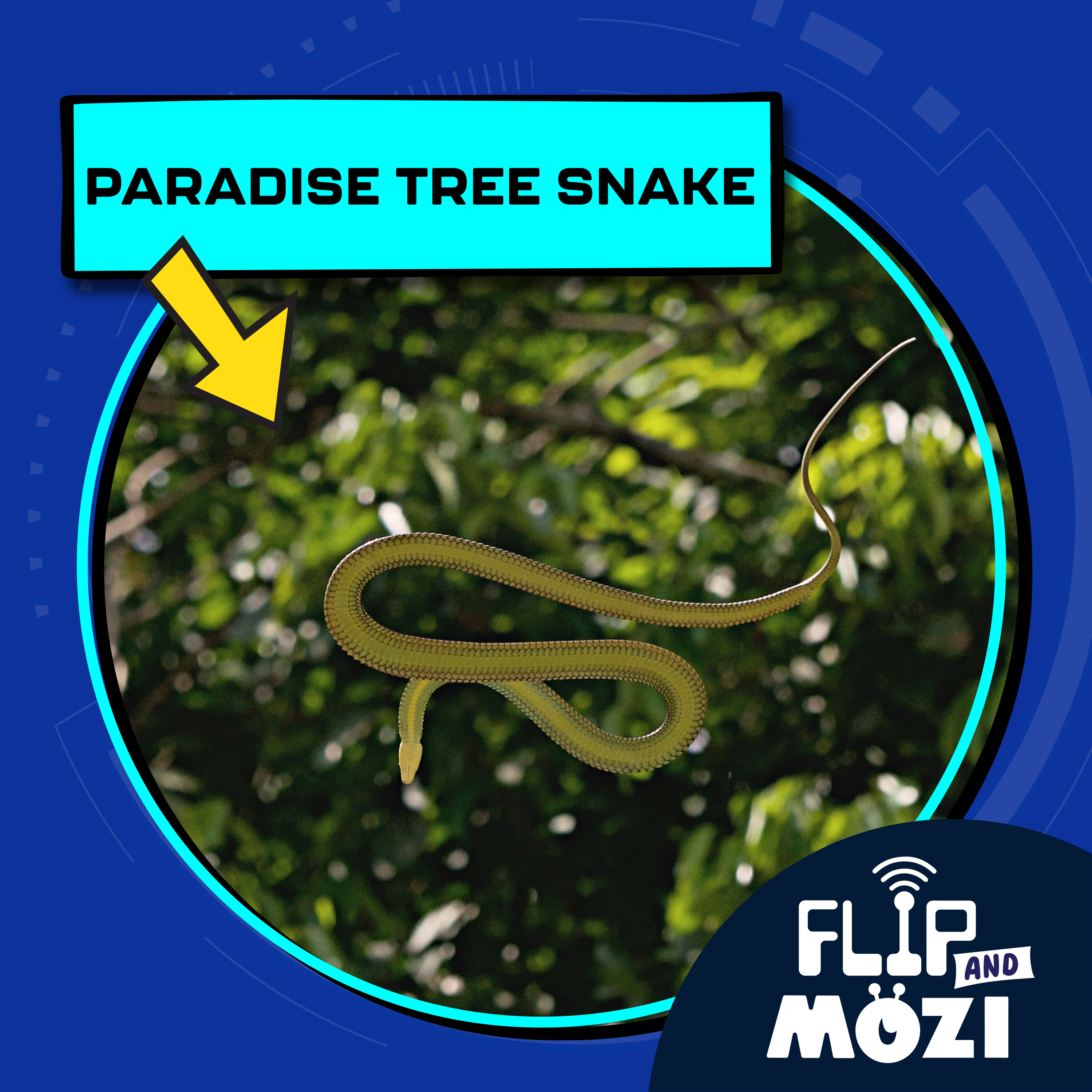 Paradise Tree Snake