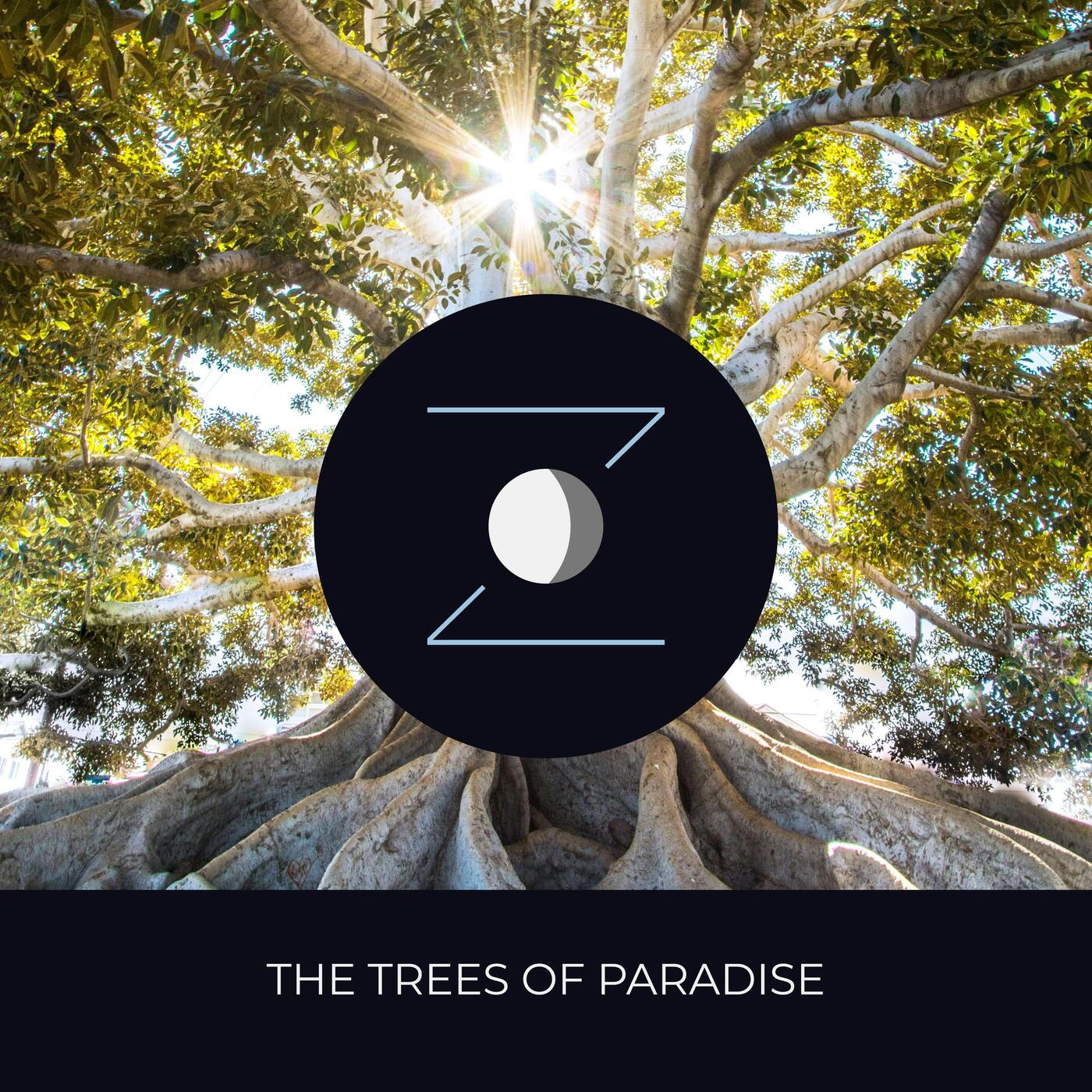 The Trees of Paradise episode artwork