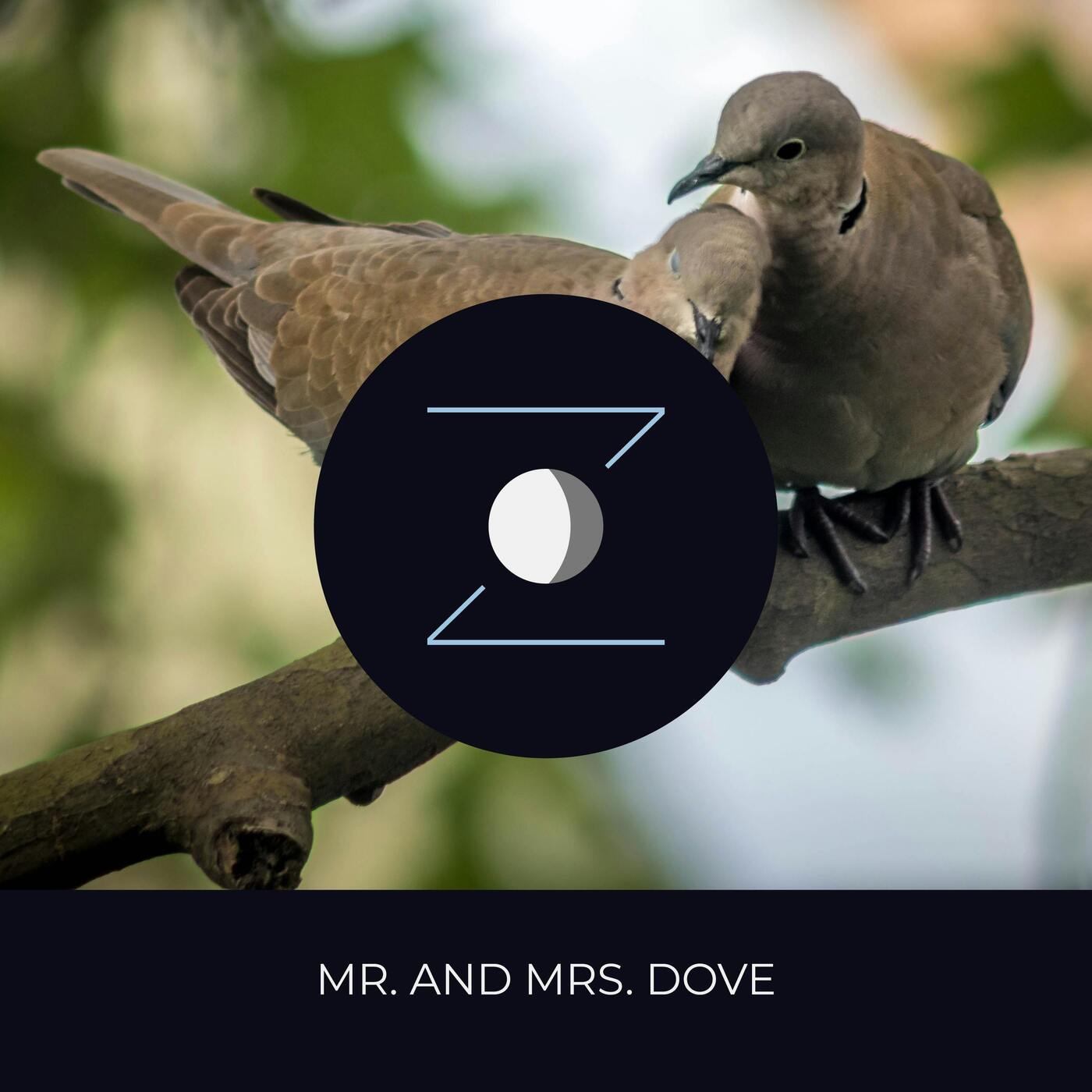 Mr. and Mrs. Dove episode artwork