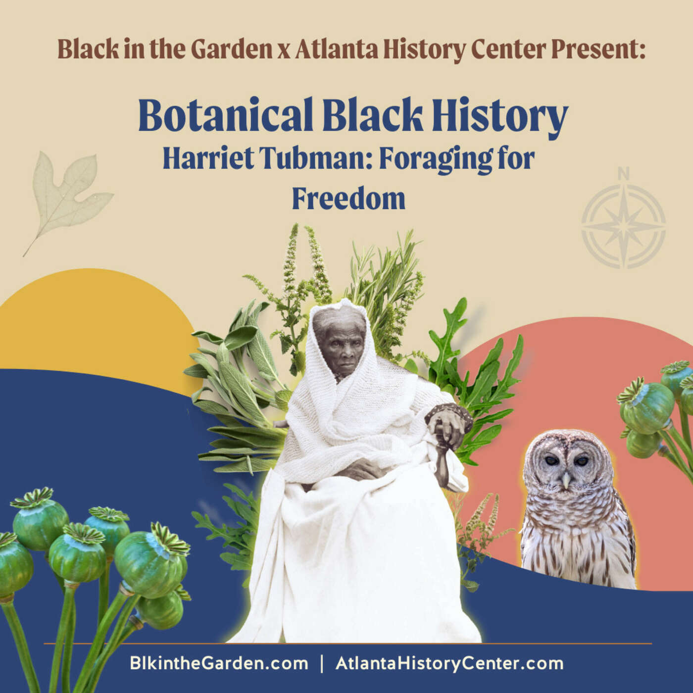 Foraging for Freedom: Harriet Tubman's Botanical Legacy
