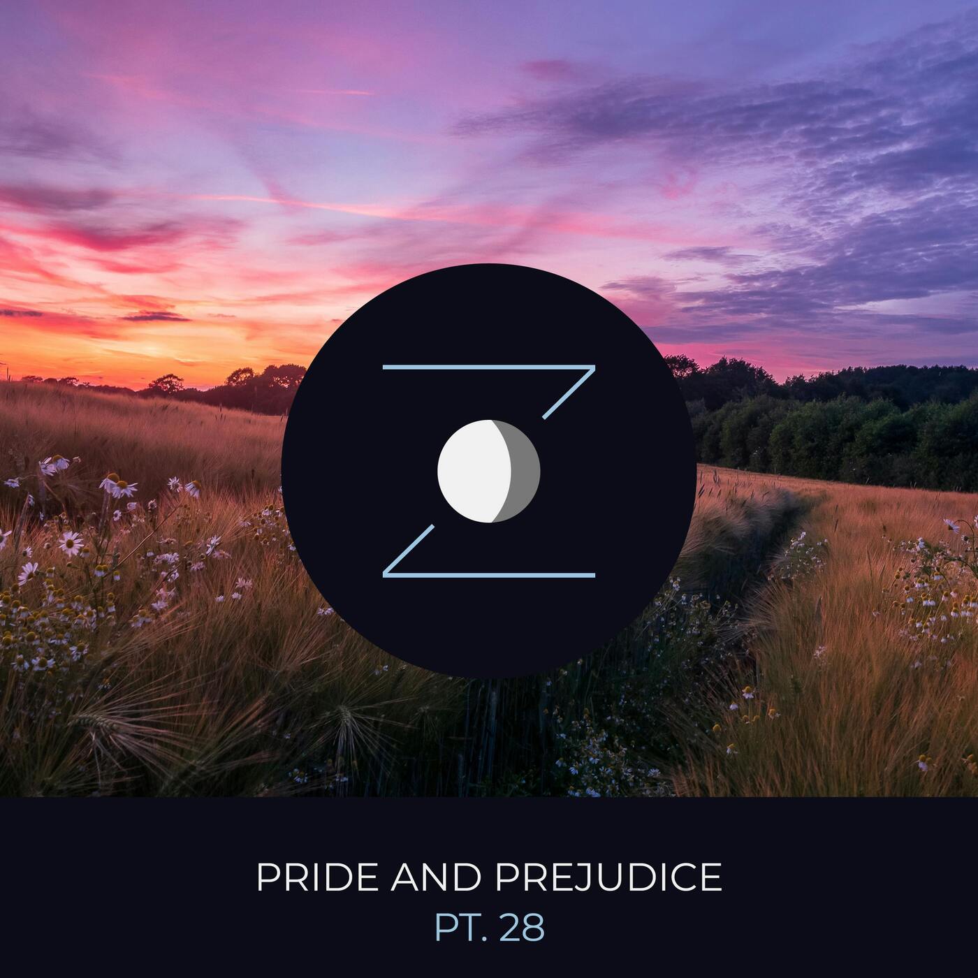 Pride and Prejudice pt. 28 episode artwork