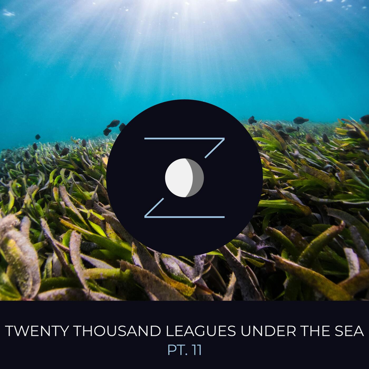 Twenty Thousand Leagues Under the Sea pt. 11 episode artwork