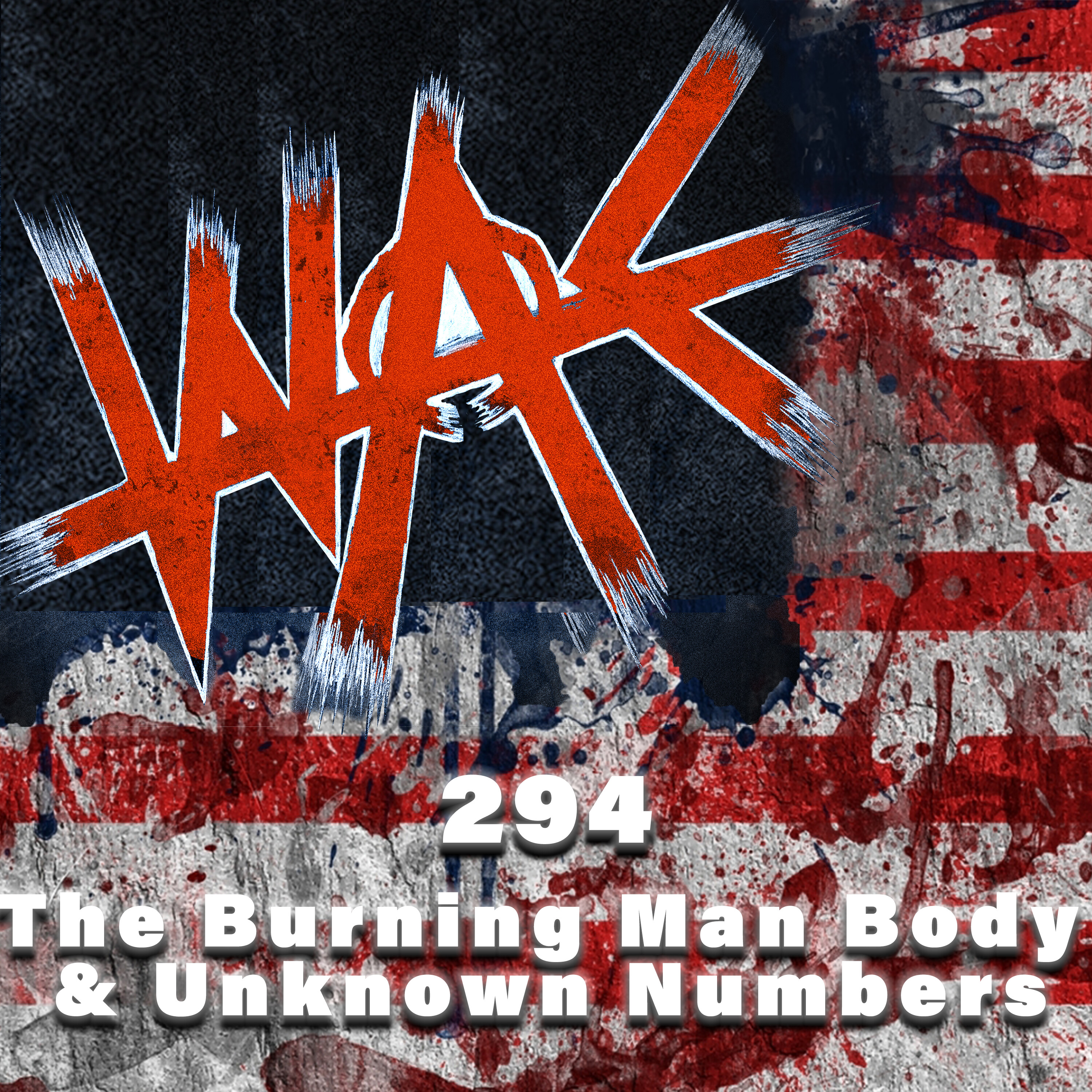 294: The Burning Man Body & Unknown Numbers